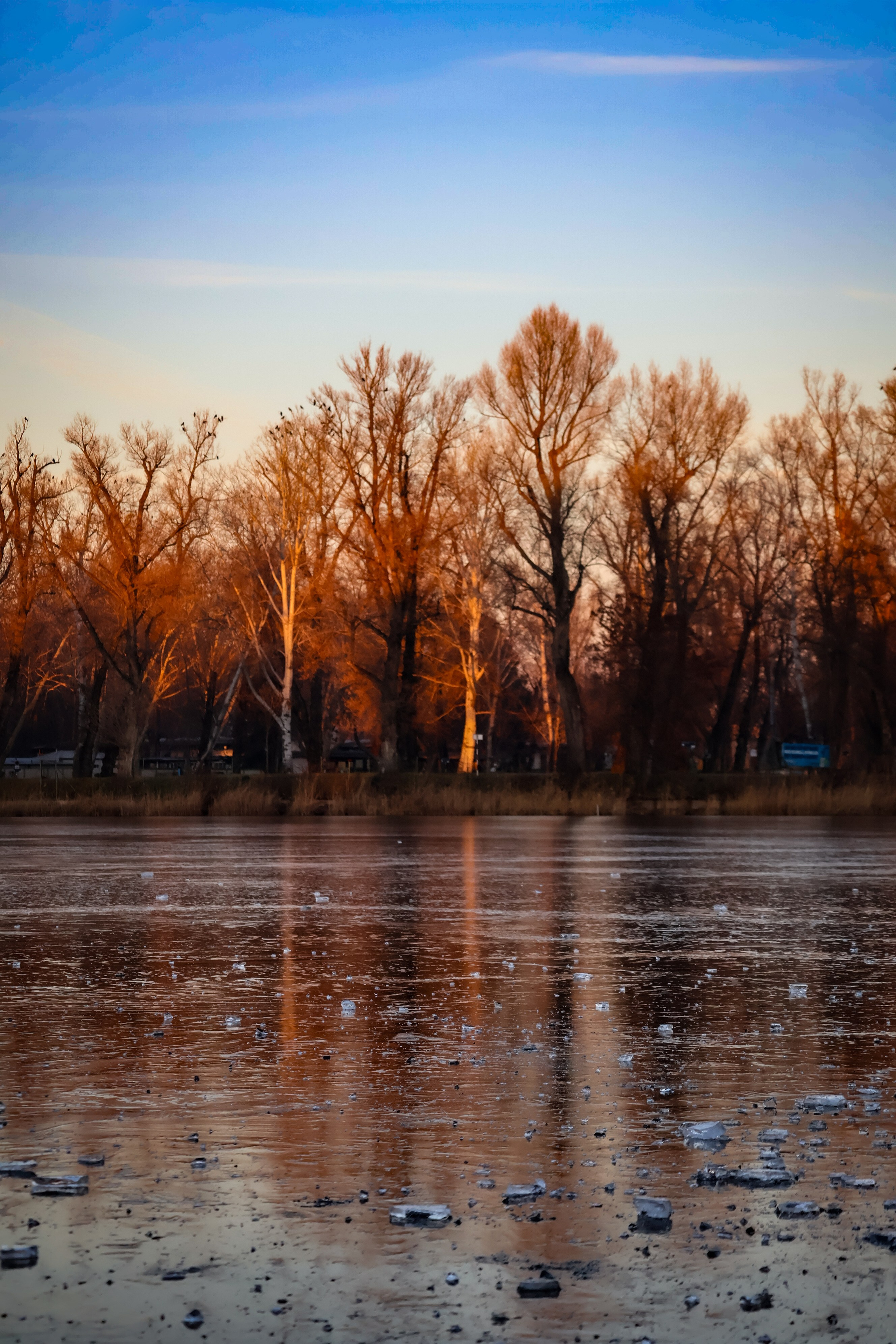 Frozen Danube