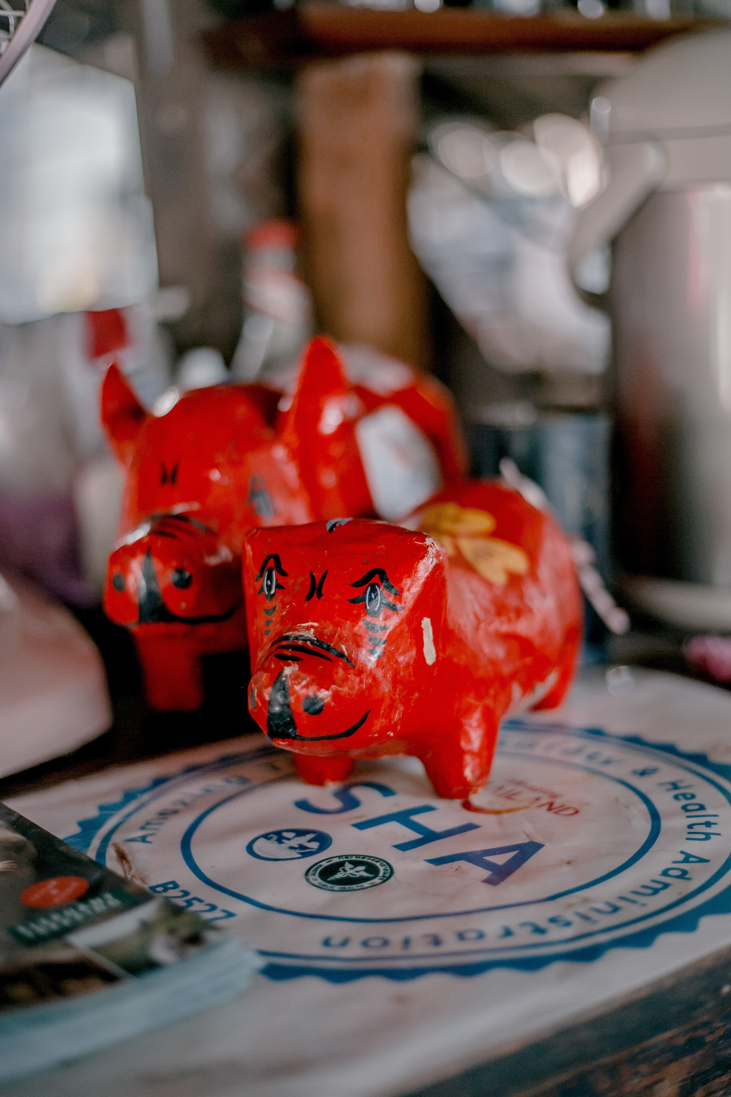 Thailand, Chiang Mai. Art Photographer