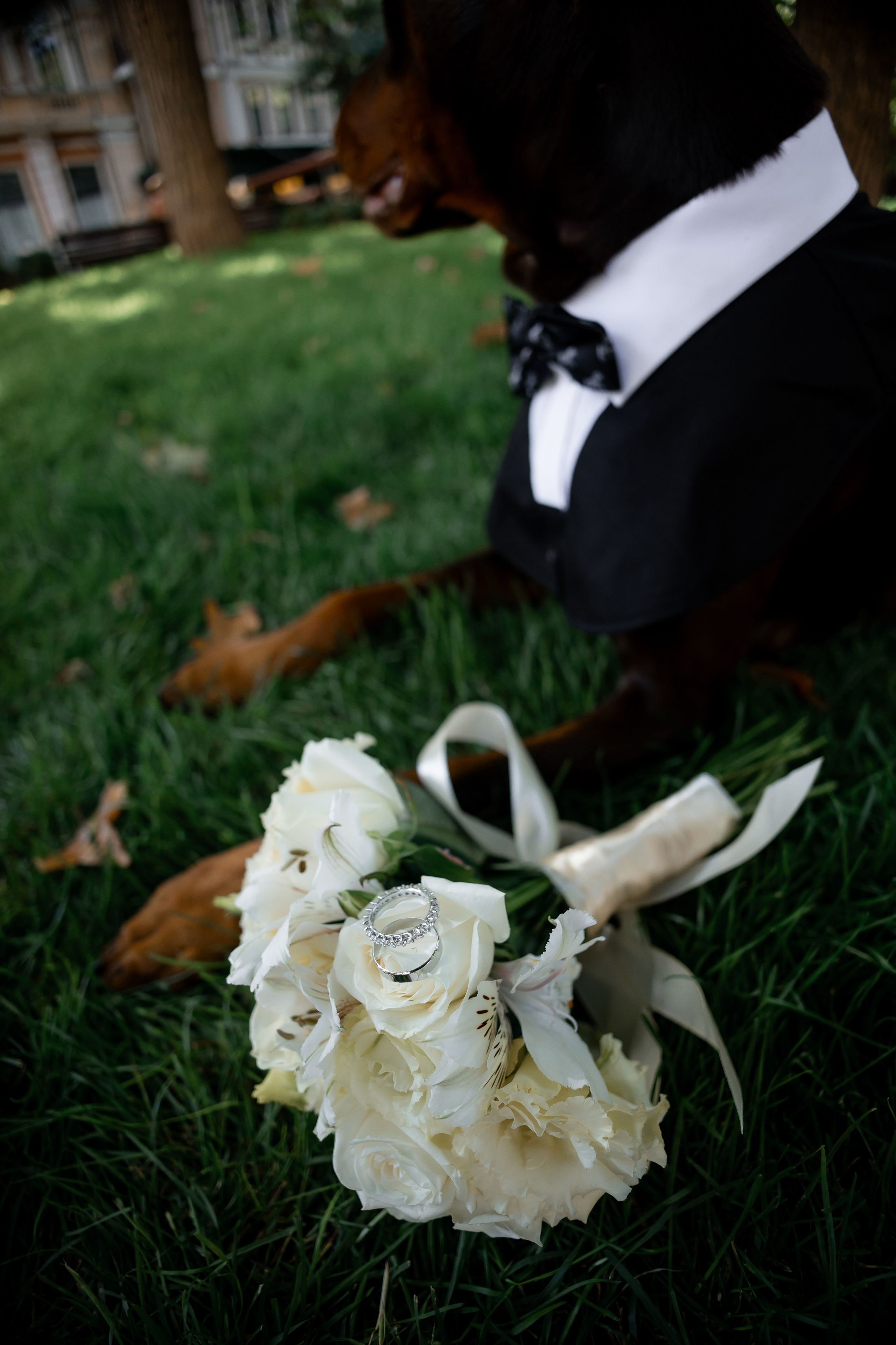 Діана & Влад. Весільний та сімейний фотограф Одеса