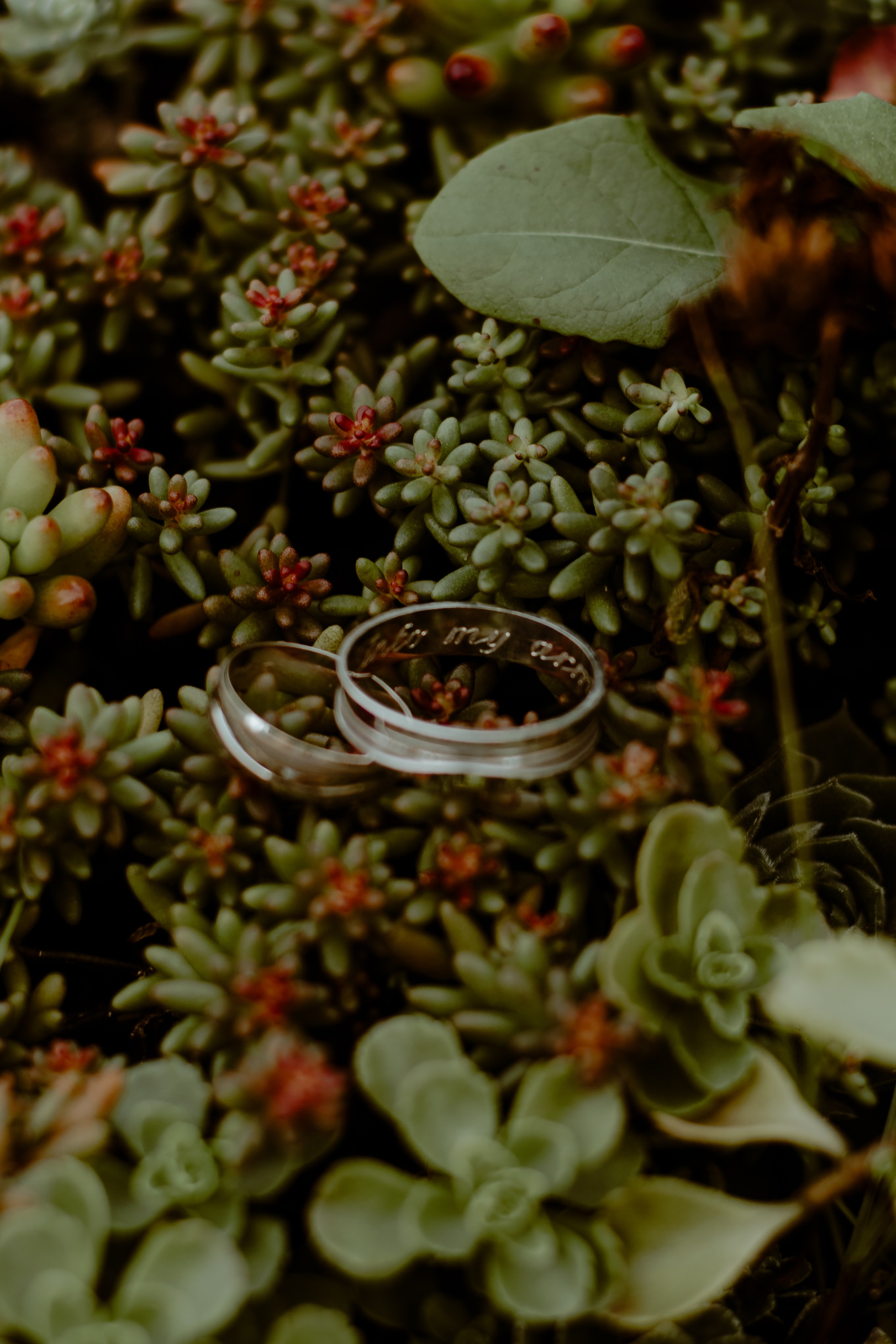 J&D. Wedding & Family photographer Jelena Anđelić