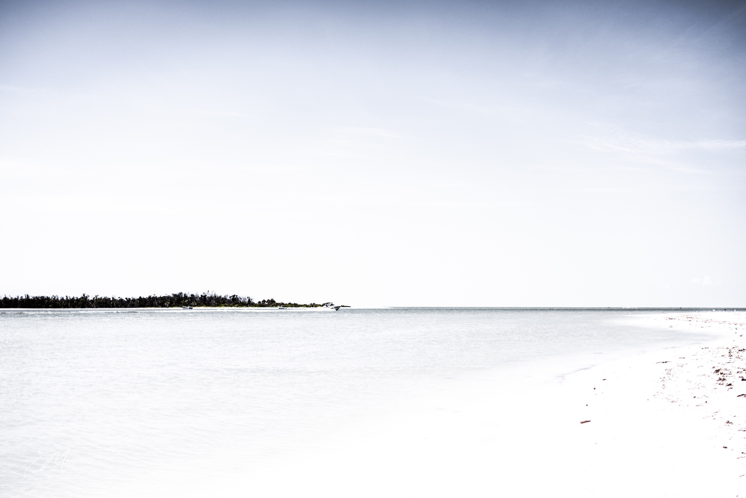 Fort Myers. Out and About 239