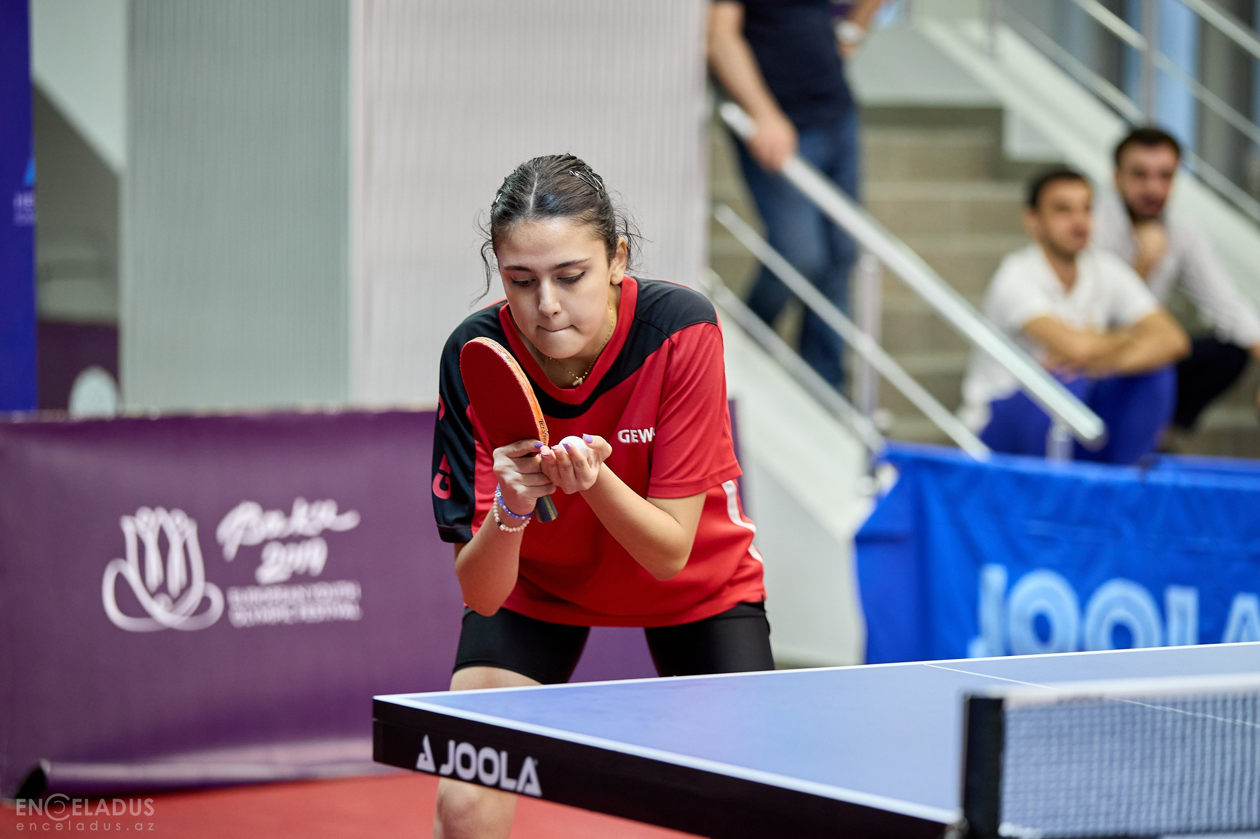 Table Tennis. Mix Tournament. Фотограф в Баку Kamran Enceladus