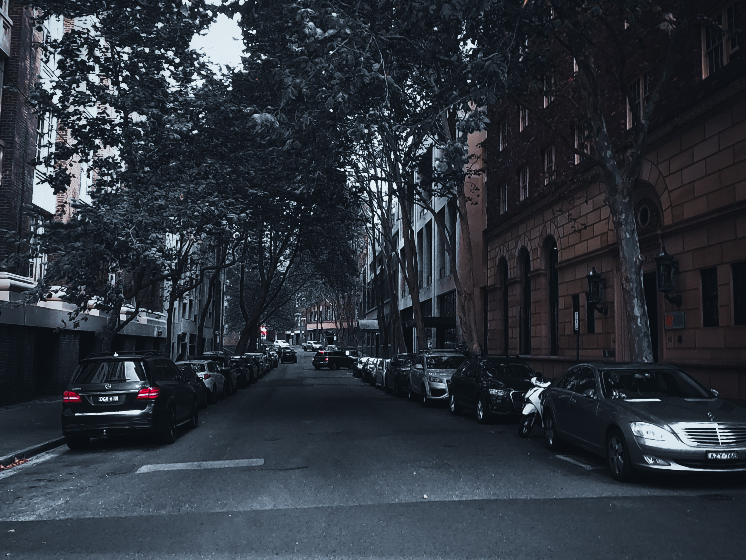 WallMuse. MHCreative is family-oriented photographer based in SYDNEY