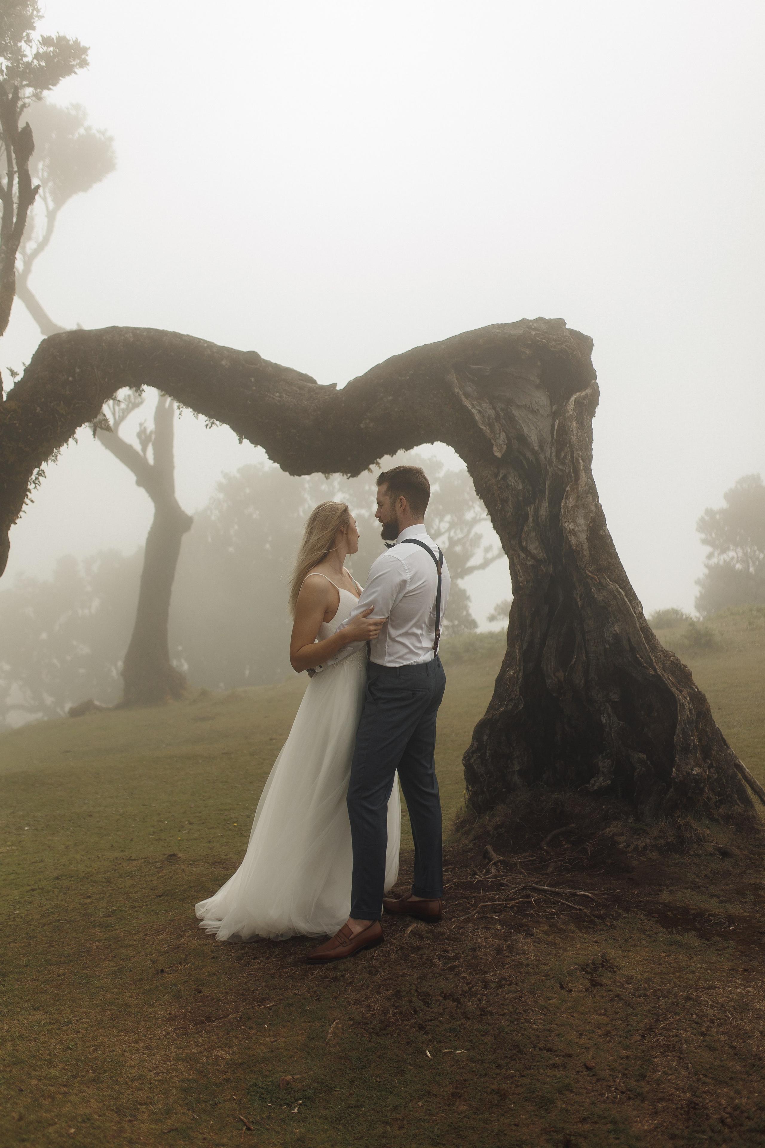 Madeira elopement in Fanal Forest - Mystic forest wedding in Portugal by professional wedding photographer