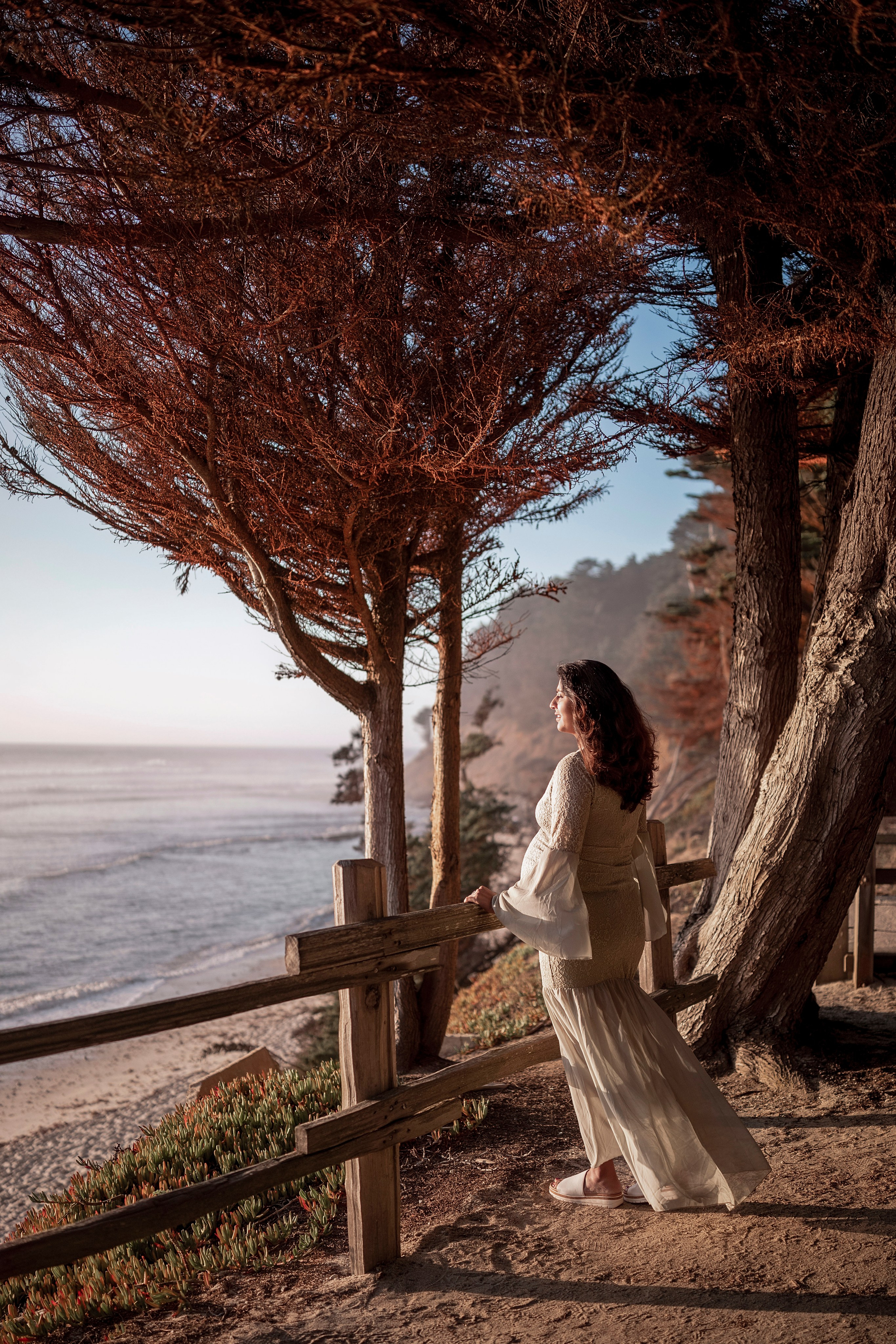 Forest. Bay Area Photographer: family, maternity, love story, wedding