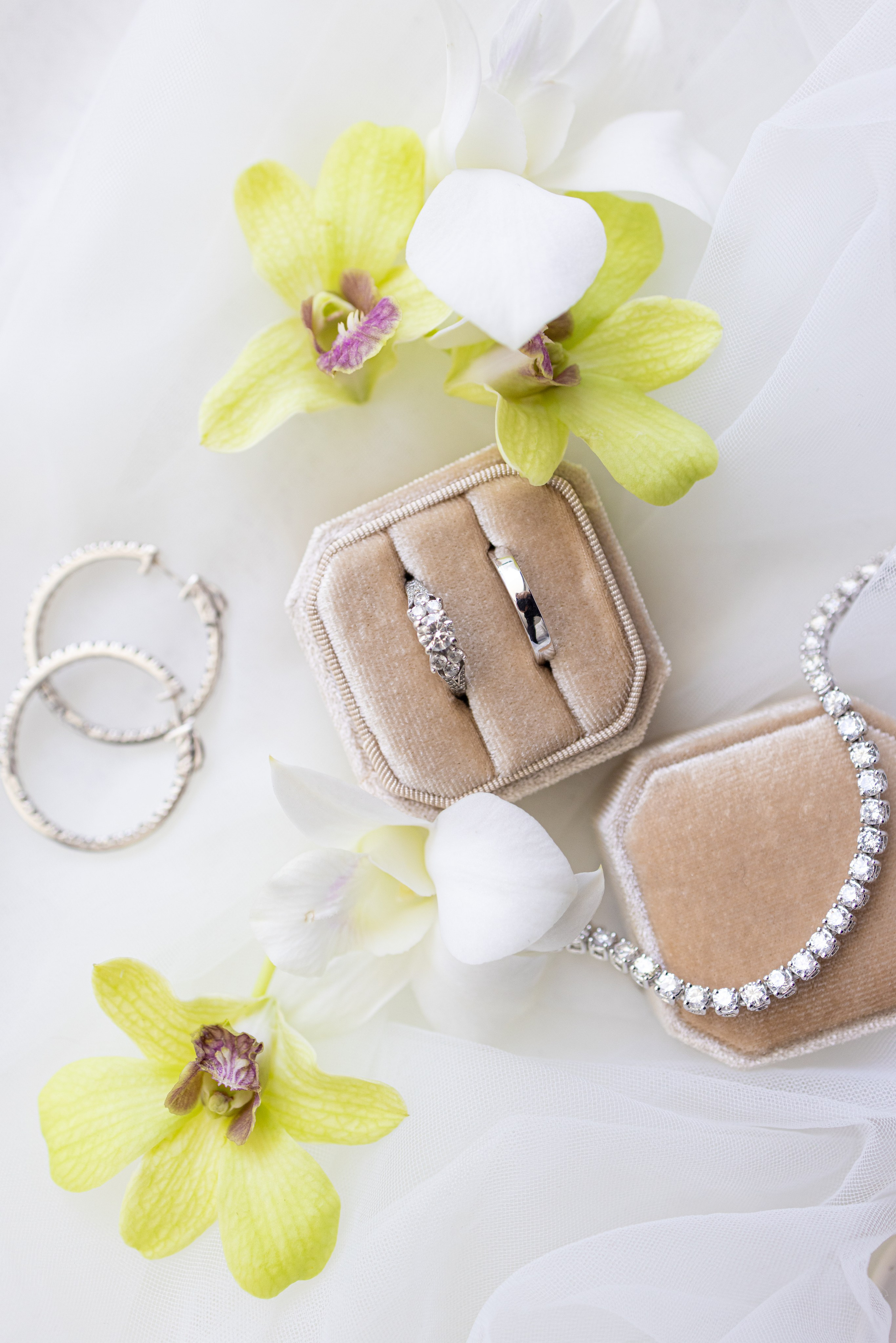 Daniella & Gurshum Wedding, Miami FL. Wedding Photo & Video