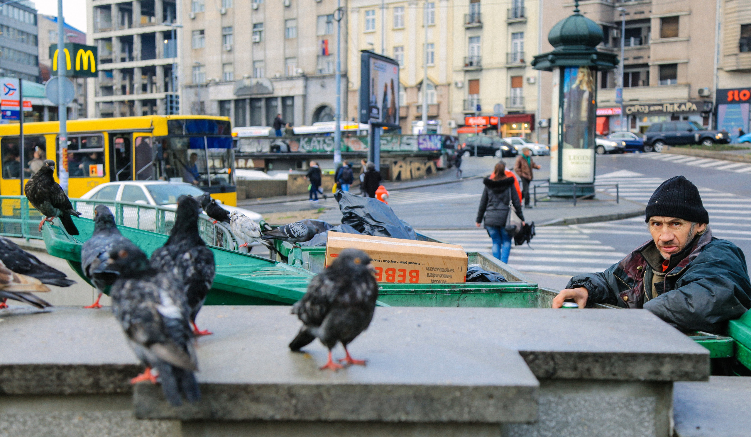 Пернатый психоз. Стрит-фотография, полная абсурда, идиотизма и красоты