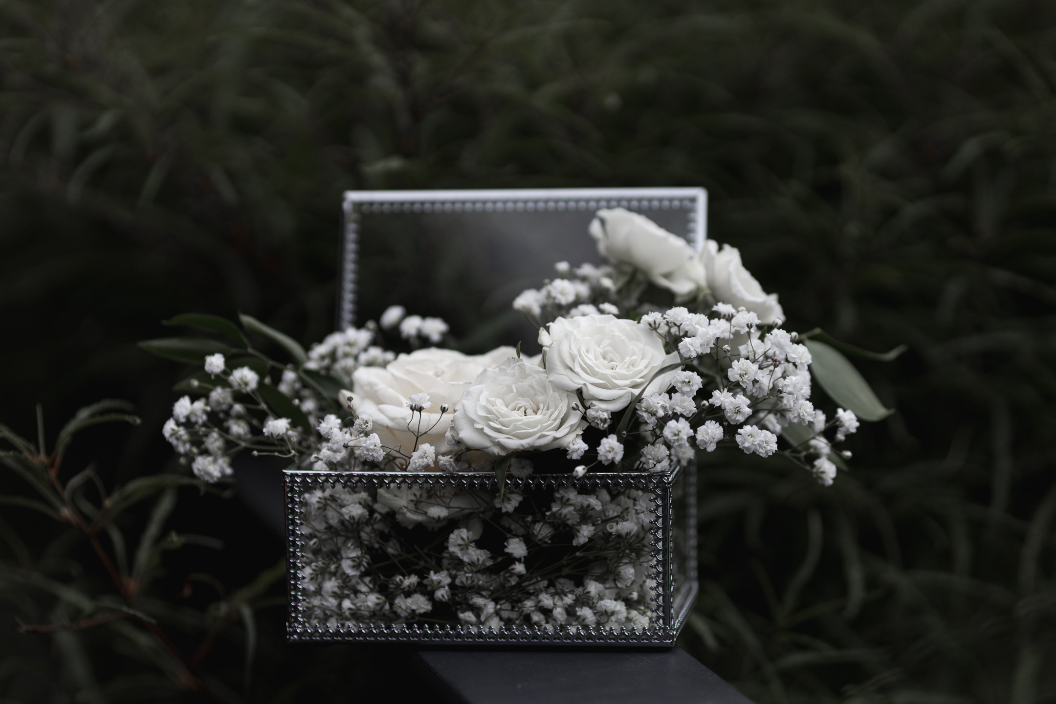 A & Y. Фотограф Рига и Европа