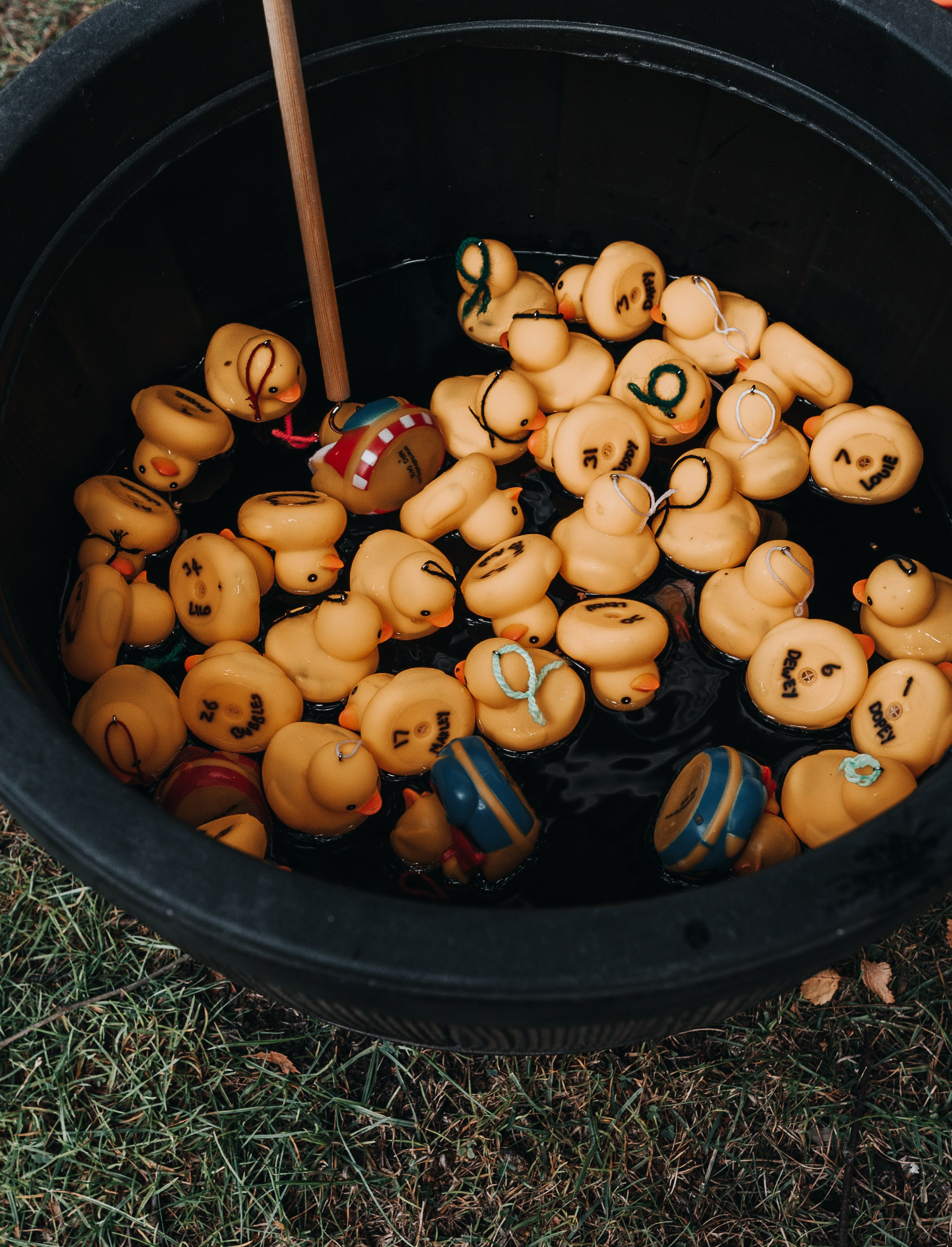 GEMMA + BIANCA. Main