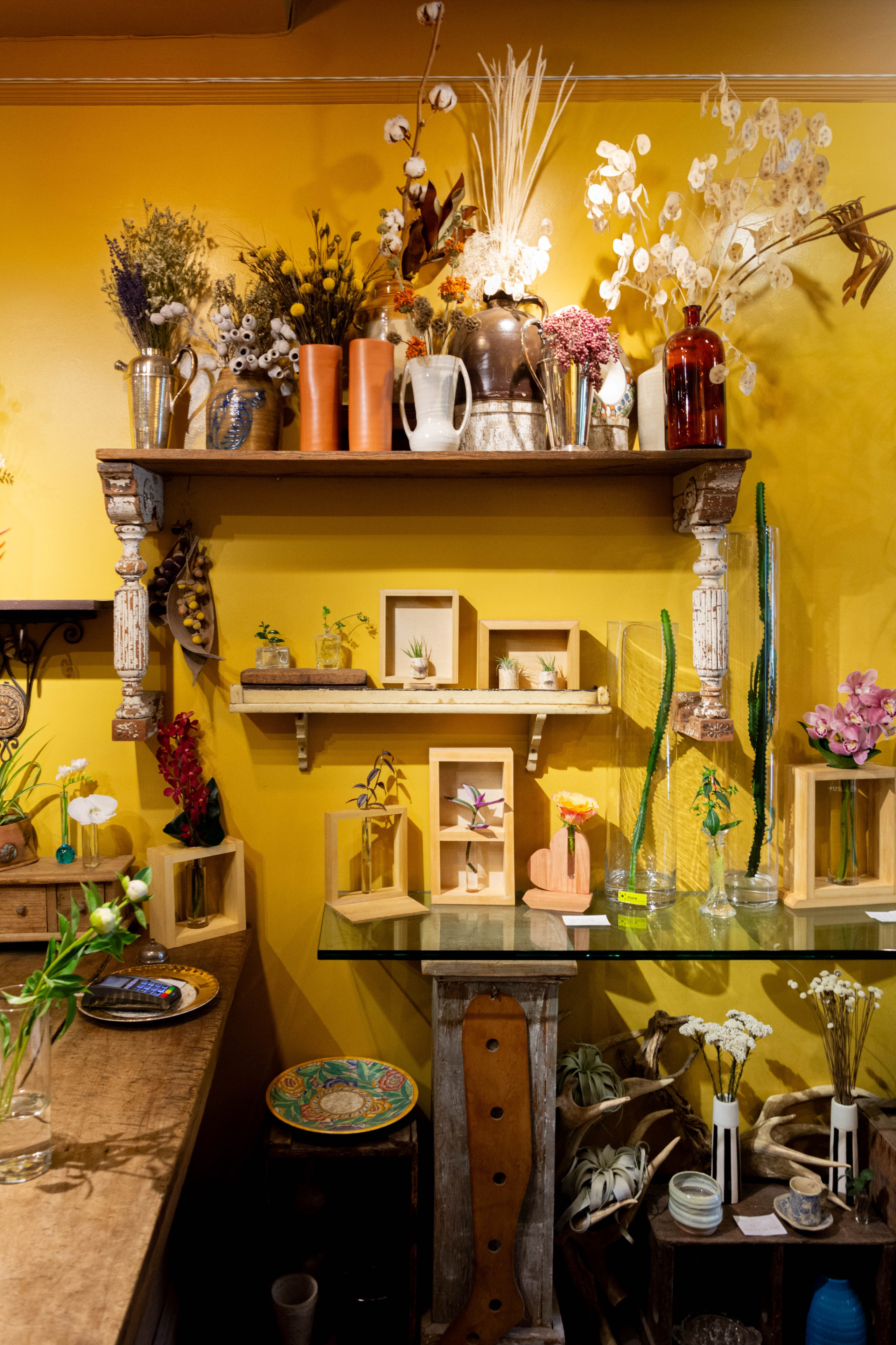 Photographer Ottawa,Branding photo shoot,Small business Photo session. Photographer Ottawa Jane Krasnopolska