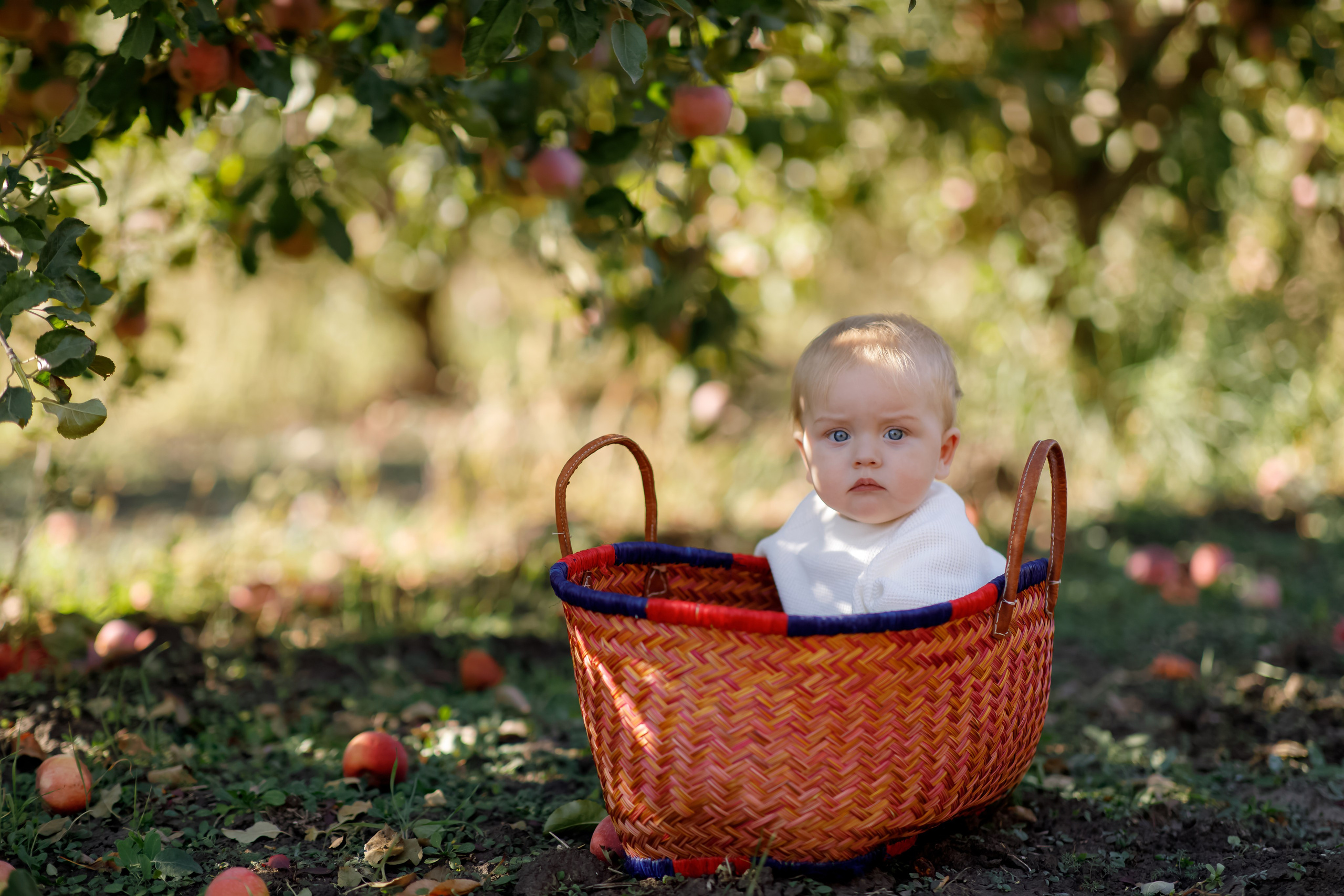 Family photo Mihaela Ungureanu. N.D.photograph - fotograf de familie și portrete în Republica Moldova