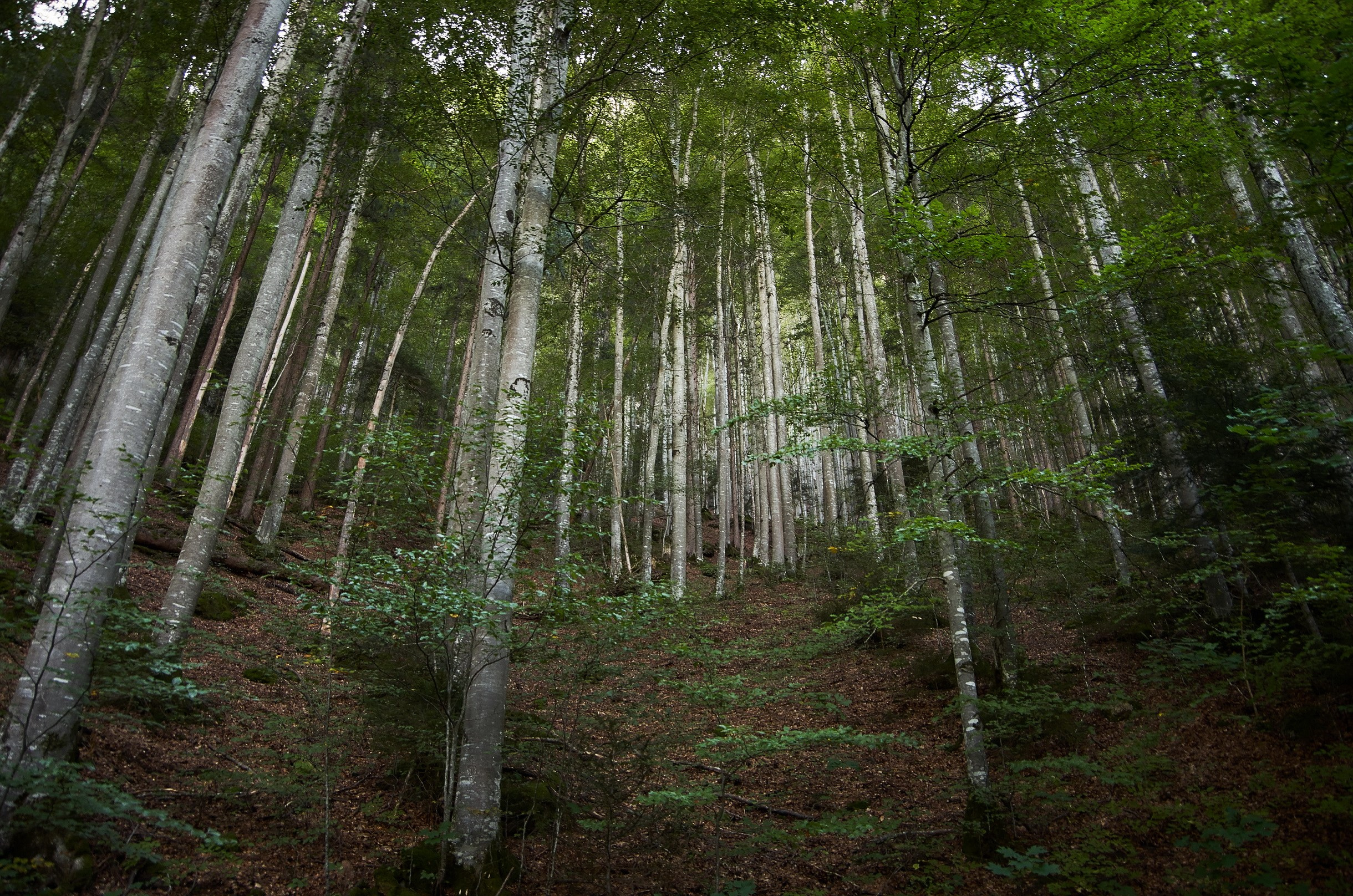 Landscapes by Yury Popkov. Yuri Popkov | Photographer