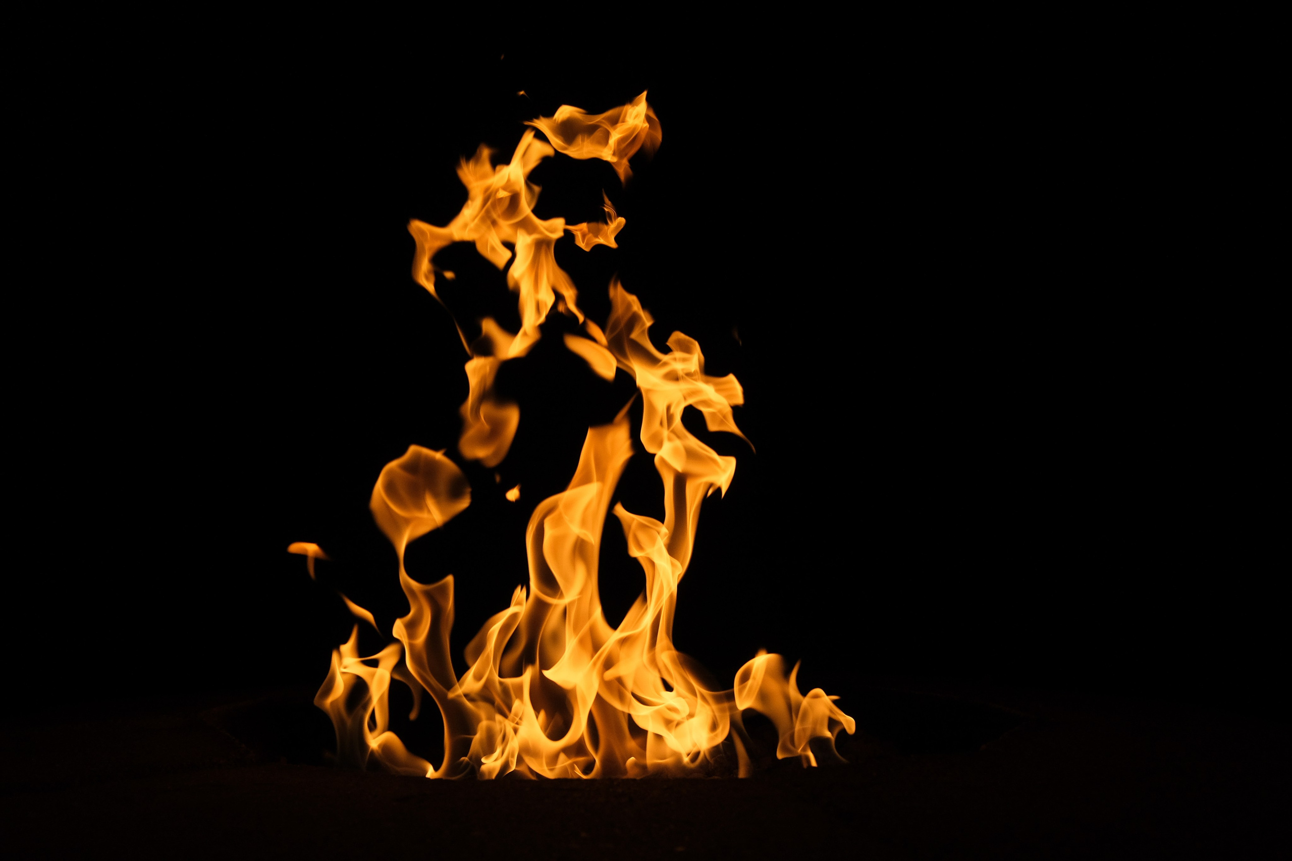 VATRA. Reportage concert portrait photography in the San Francisco Bay Area