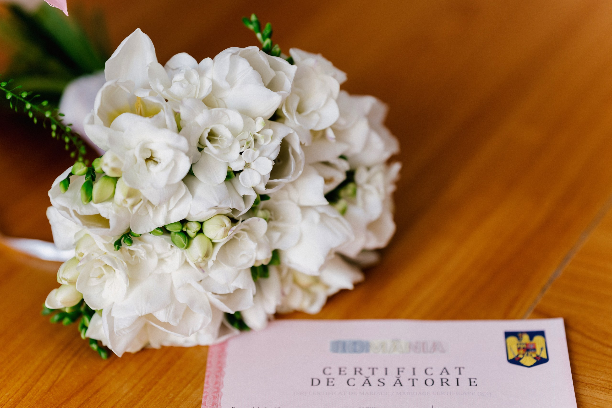 1. Alin Chirilă fotograf stare civilă Cordăreni Botoșani – Răzvan și Andra în ziua cununiei civile, emoții reale surprinse natural2. fotograf stare civilă Cordăreni Botoșani AlinoFotoStudio – miri fericiți după ceremonia civilă alături de familie3. Alin Chirilă fotograf Botoșani – Răzvan și Andra la starea civilă din Cordăreni4. fotograf nuntă Botoșani Alin Chirilă – ședință foto de cuplu în grădina de vară Casa Lux5. AlinoFotoStudio fotograf stare civilă Botoșani – portrete romantice cu Răzvan și Andra după cununia civilă6. fotograf evenimente Botoșani Alin Chirilă – miri și nași la restaurant Indigo - Casa Lux7. fotograf Cordăreni Botoșani – moment emoționant la semnarea actelor de căsătorie surprins de Alin Chirilă8. Alin Chirilă povestitor prin fotografie – stare civilă elegantă în județul Botoșani9. fotograf cununie civilă Botoșani – cadre naturale cu familia și apropiații la Casa Lux10. AlinoFotoStudio fotograf nuntă Botoșani – Răzvan și Andra la începutul unei noi povești de iubire - fotograf-Botoșani-fotograf-nuntă-Botoșani-fotograf-evenimente-Botoșani-servicii-foto-video-Botoșani-cununie-civilă-Cordăreni-Alin-Chirilă-fotograffotograf-nuntă-Botoșani-fotograf-stare-civilă-Botoșani-fotograf-Cordăreni-fotograf-evenimente-AlinoFotoStudioservicii-foto-video-Botoșani-fotograf-profesionist-Botoșani-fotograf-cununie-civilă-fotograf-nuntă-Cordărenifotograf-evenimente-Botoșani-fotograf-botez-Botoșani-fotograf-nuntă-Botoșani-Alin-Chirilă-povestitor-prin-fotografiefotograf-Botoșani-fotograf-Suceava-fotograf-Iași-fotograf-nuntă-moldova-servicii-foto-videofotograf-cununie-civilă-Botoșani-fotograf-stare-civilă-Cordăreni-fotograf-miri-Botoșanifotograf-restaurante-Botoșani-fotograf-Casa-Lux-Botoșani-fotograf-petrecere-eveniment-BotoșaniAlinoFotoStudio-fotograf-Botoșani-fotograf-nuntă-premium-fotograf-evenimente-private-Botoșanifotograf-nuntă-ieftin-Botoșani-fotograf-bun-Botoșani-fotograf-recomandat-Botoșani-servicii-fotofotograf-miri-Botoșani-fotograf-love-story-Botoșani-fotograf-ședință-foto-Botoșani-fotograf-cuplu