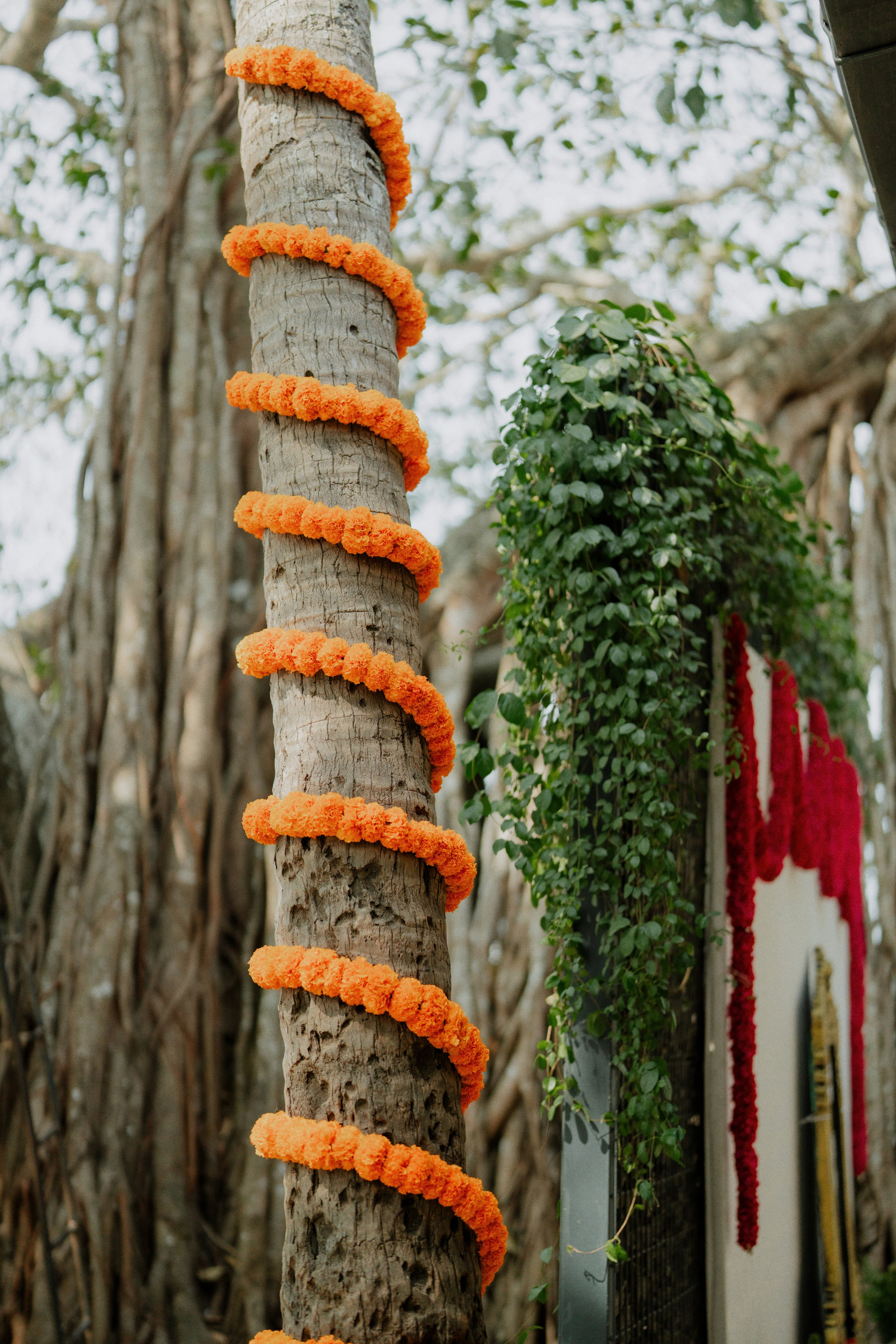 INTIMATE WEDDING. SPOTLIGHTWEDDINGS.IN