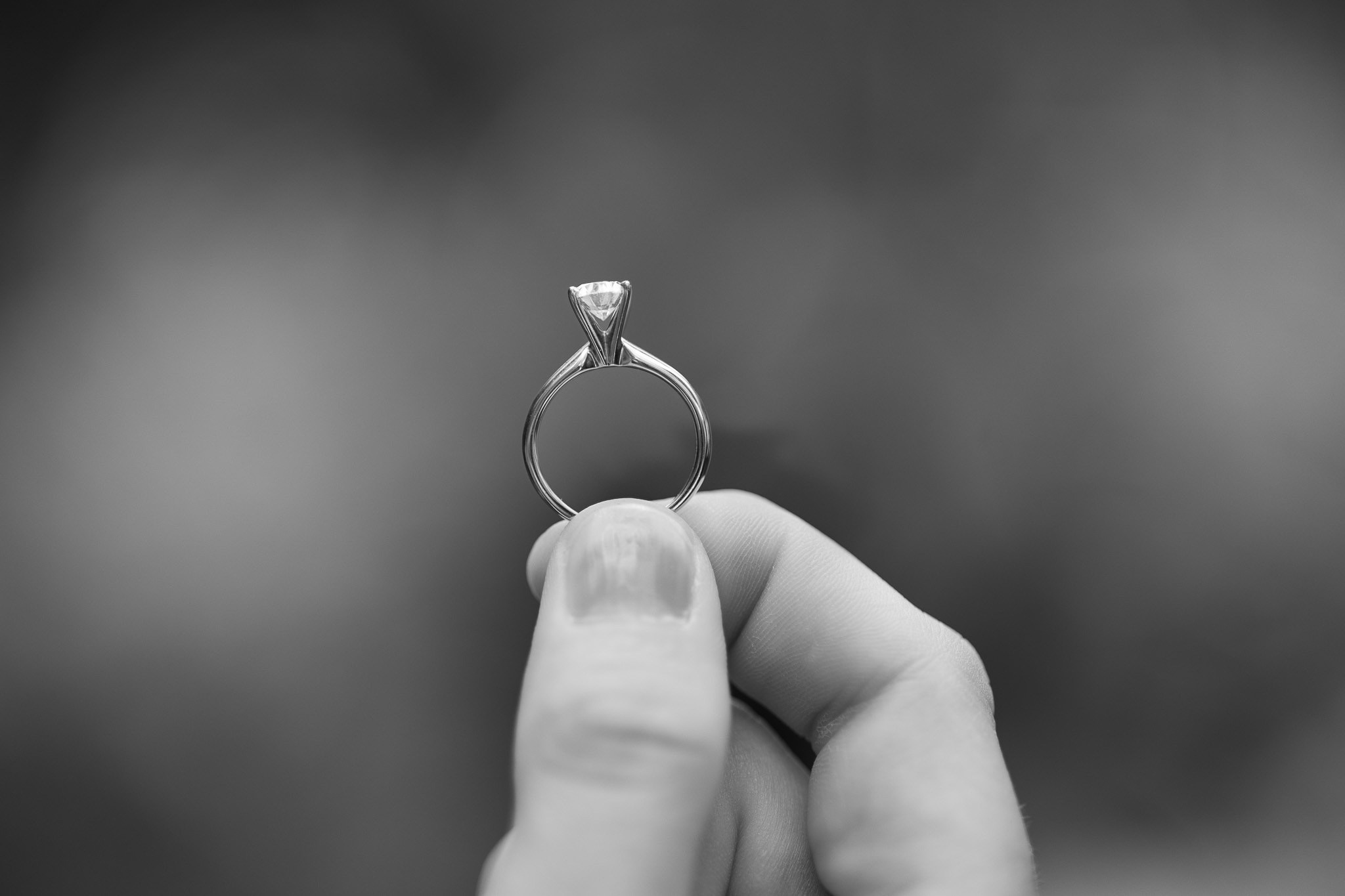 L|G. Family and Wedding photographer