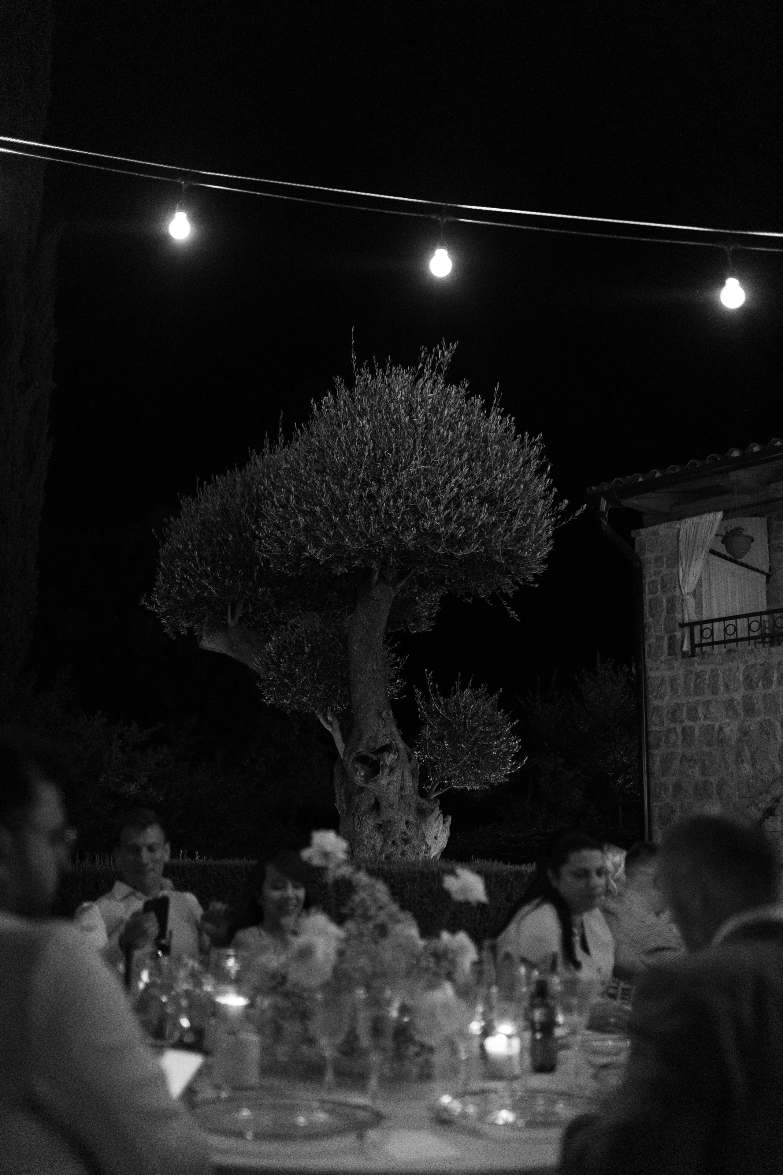 Justyna ir Paulius | 2023 | MONTENEGRO. Vestuvių ir šeimų fotografė Lena Bondarenko / belove photo