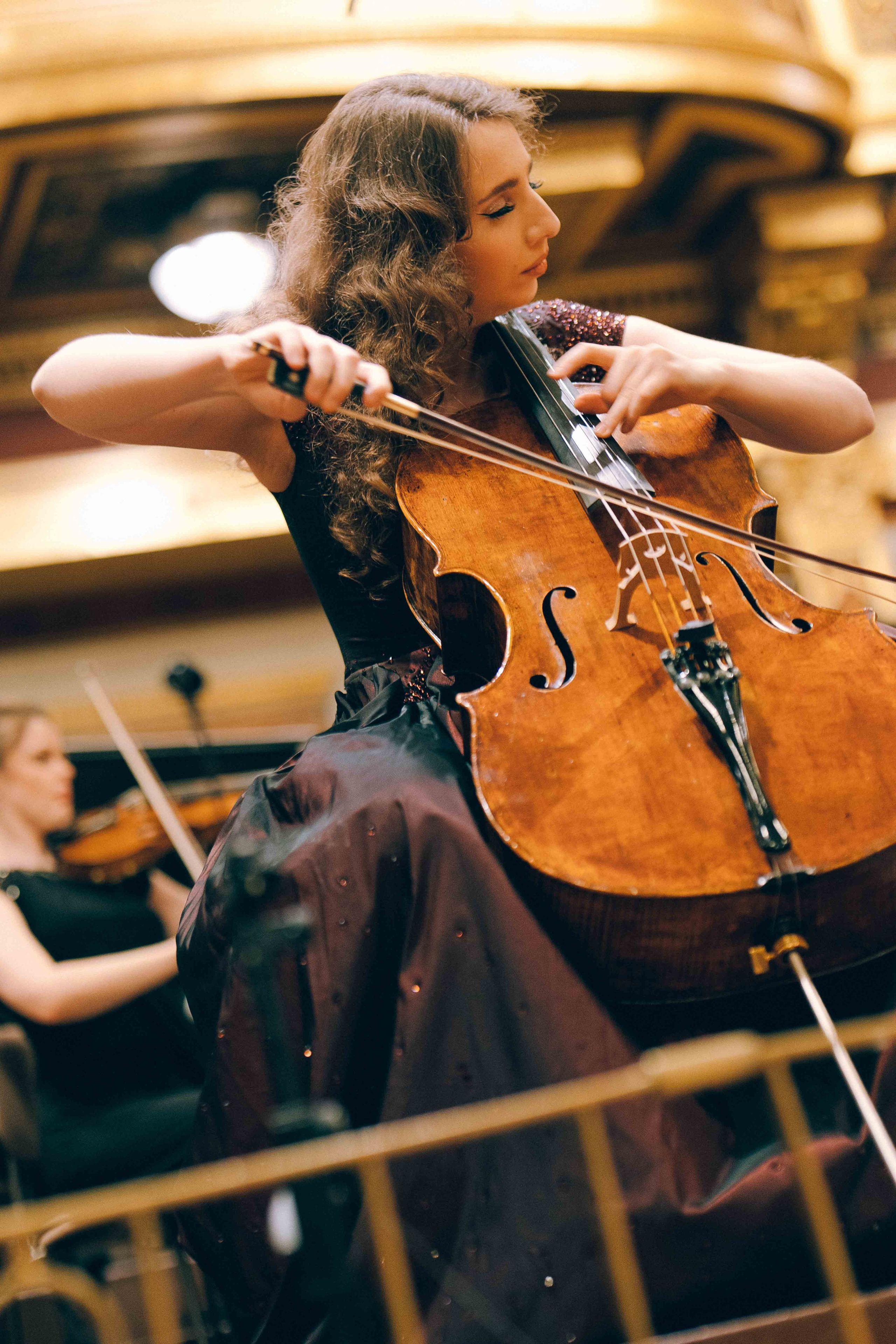 MUSIKVEREIN (VIENNA). Wedding&Event photographer Ismail Rzayev in Baku