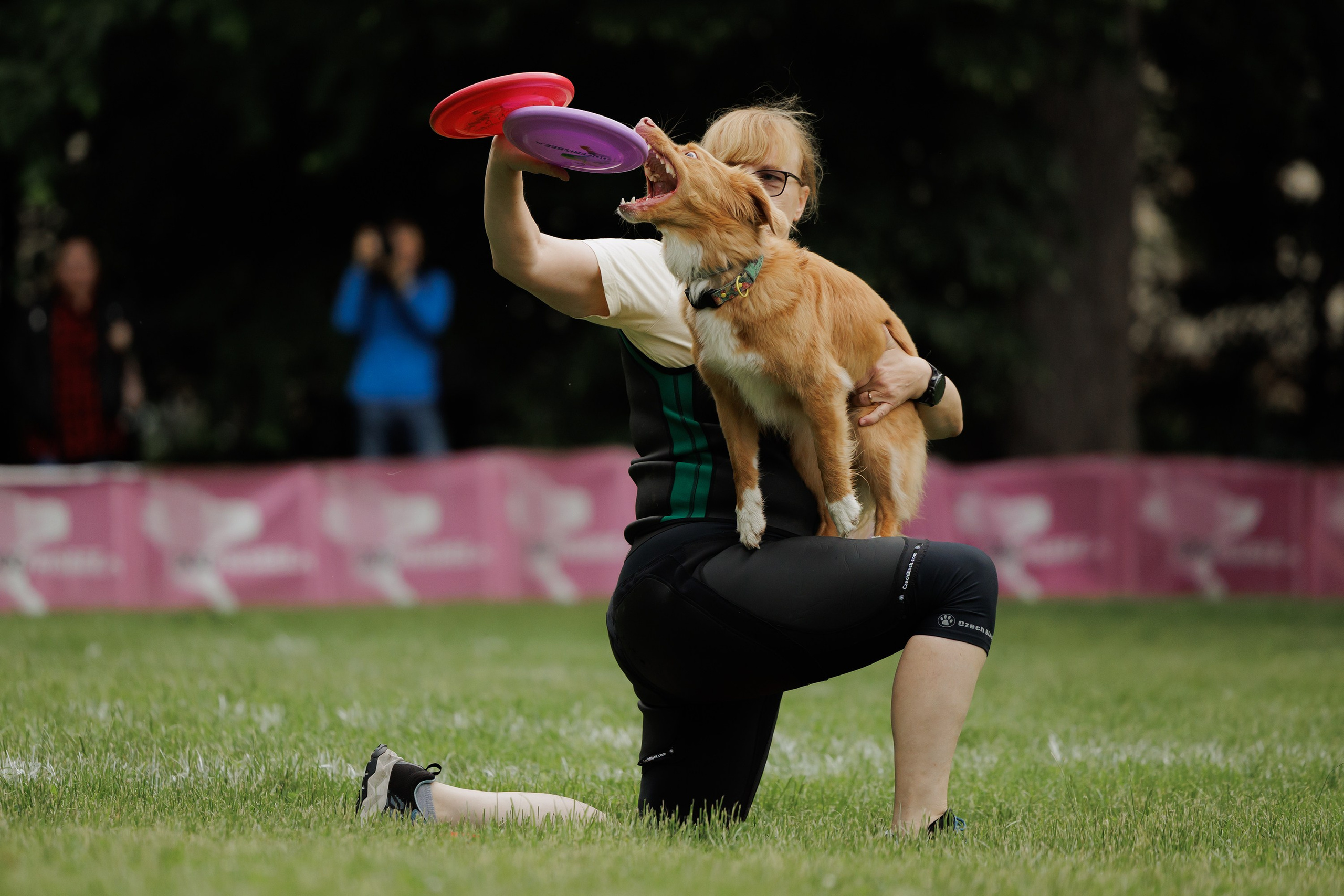 Latające psy, Wrocław'25. Kaja | fotograf psów we Wrocławiu