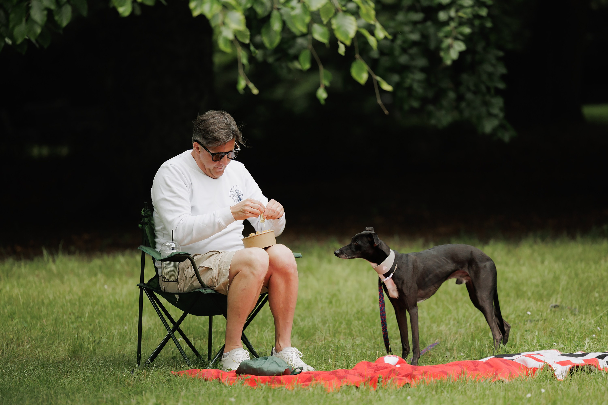 Latające psy, Wrocław'25. Kaja | fotograf psów we Wrocławiu