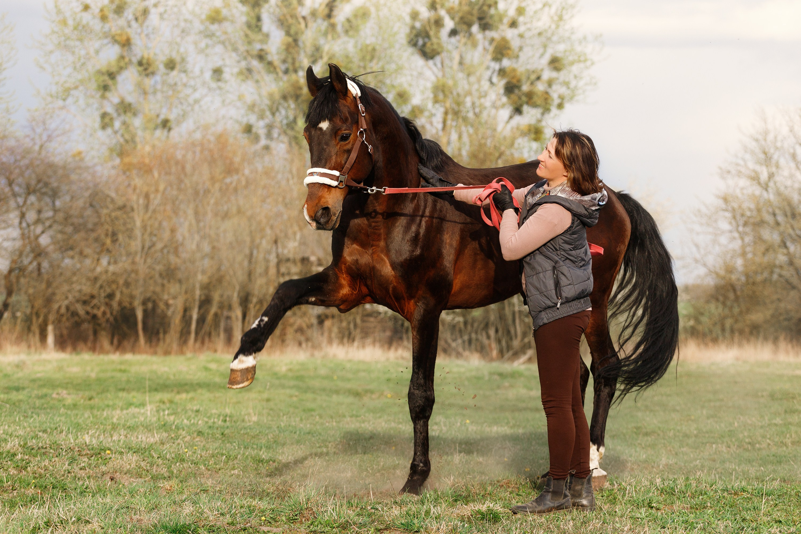 Vykup. Kaja | fotograf psów we Wrocławiu