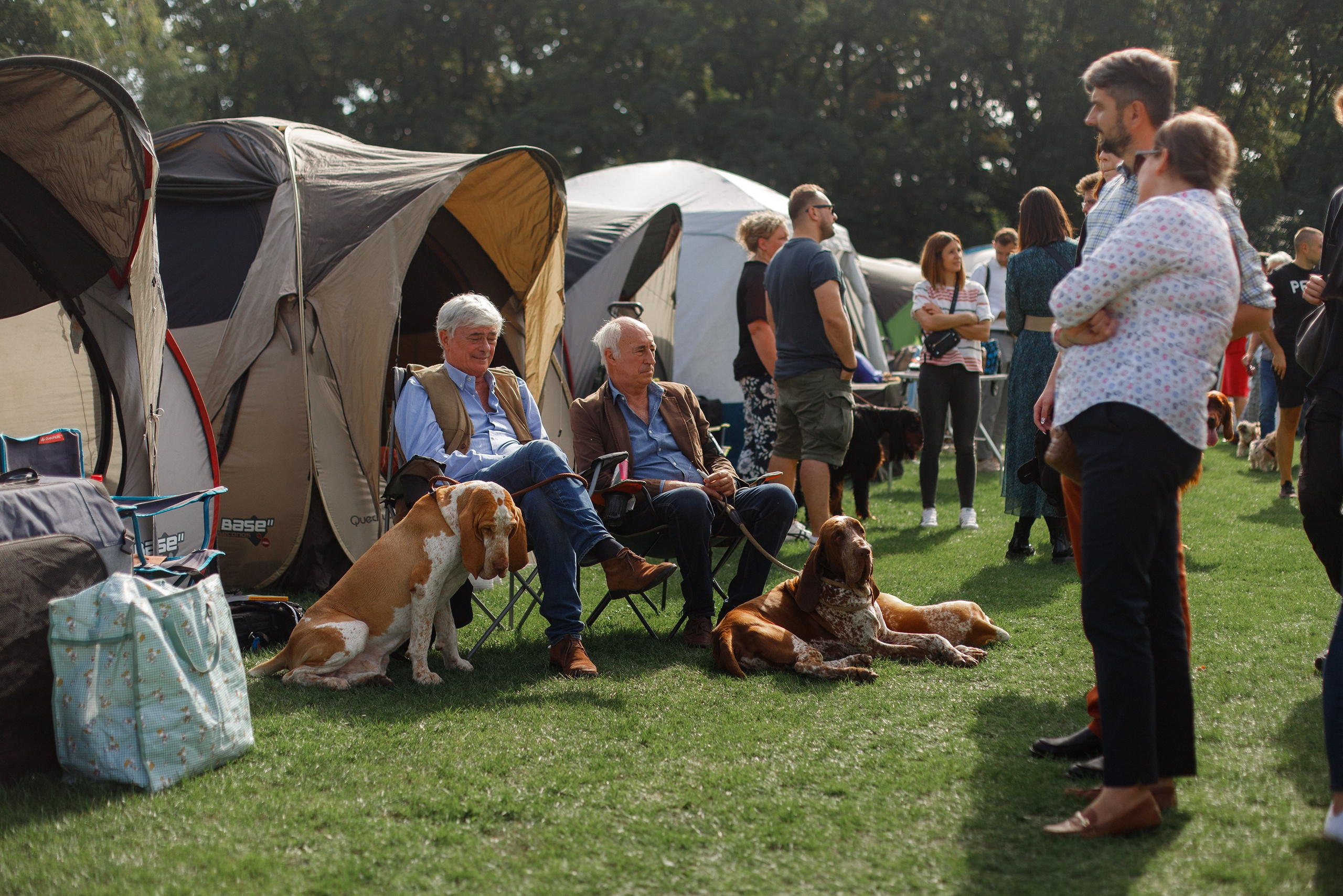 Dog shows | the best ones. Kaja | fotograf psów we Wrocławiu