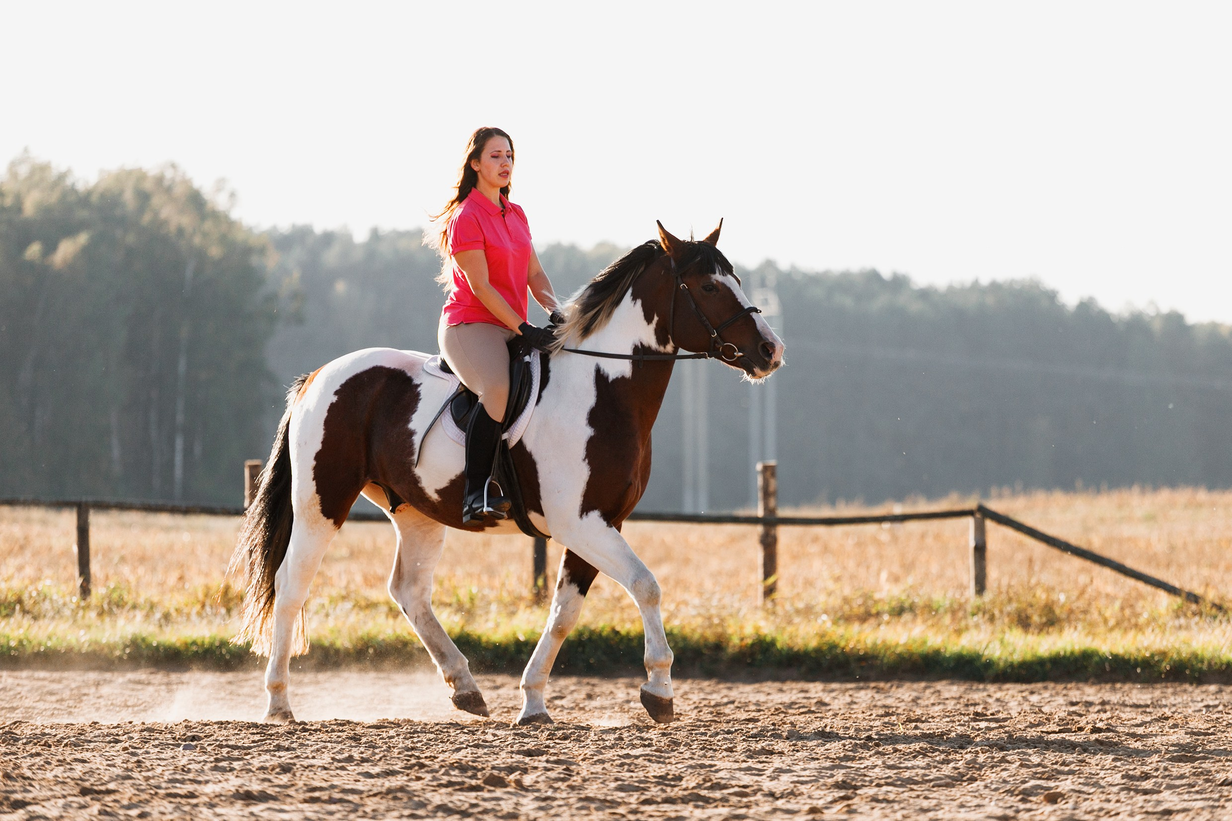 Pegas & Maximus | portrait shooting. Kaja | fotograf we Wrocławiu | ludzie i psy