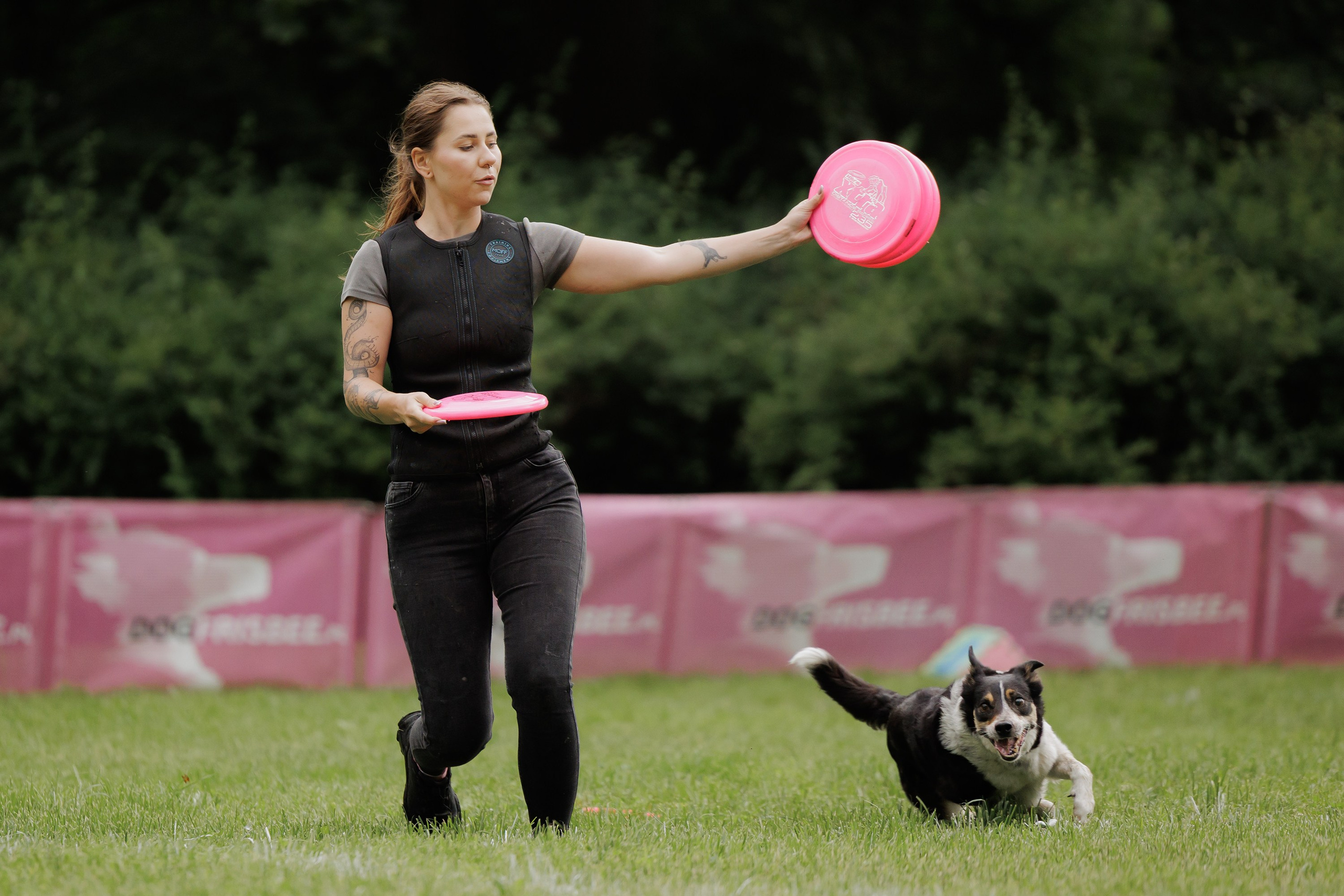 Latające psy, Wrocław'25. Kaja | fotograf psów we Wrocławiu