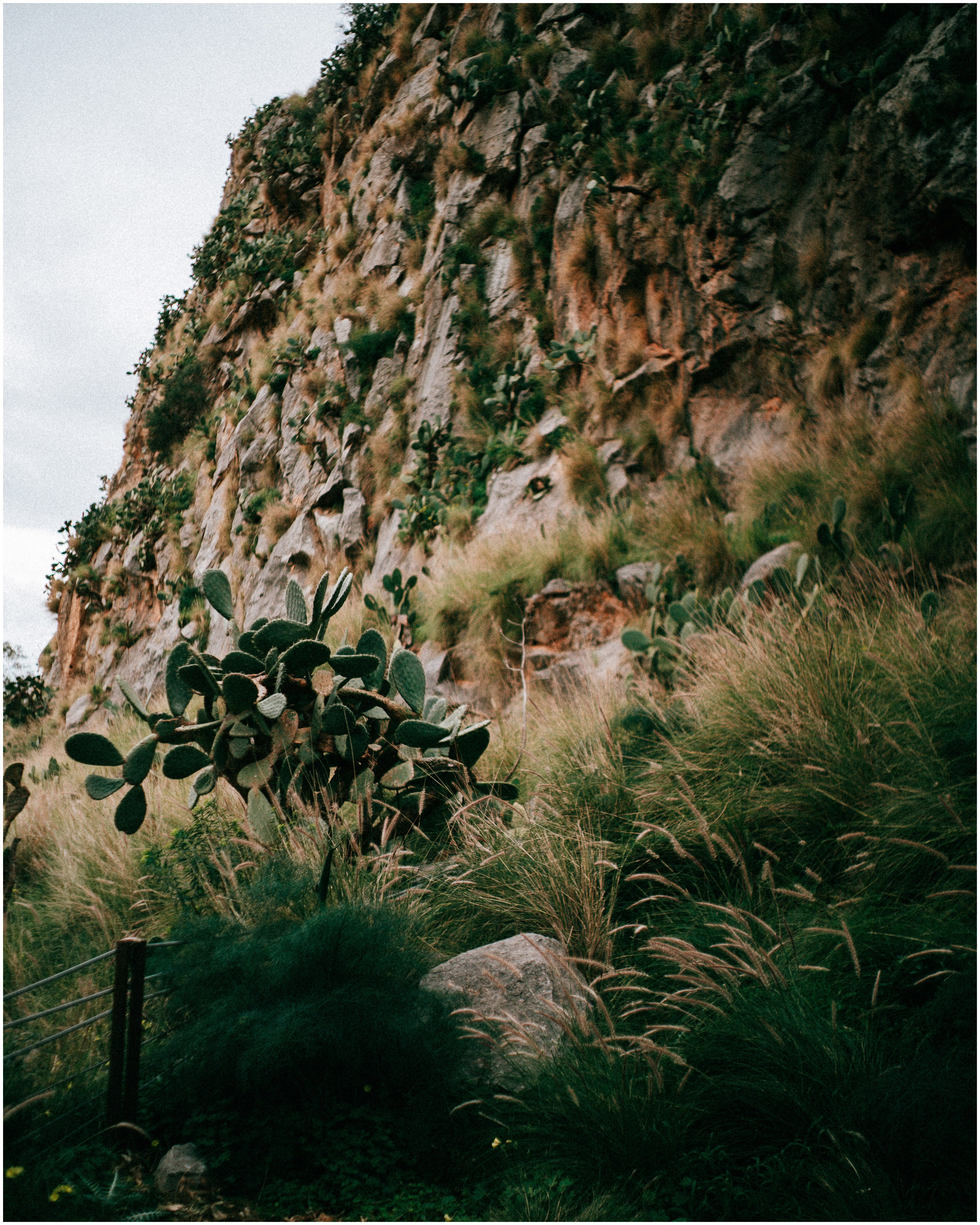 PALERMO. Photographer Inna Mendelson