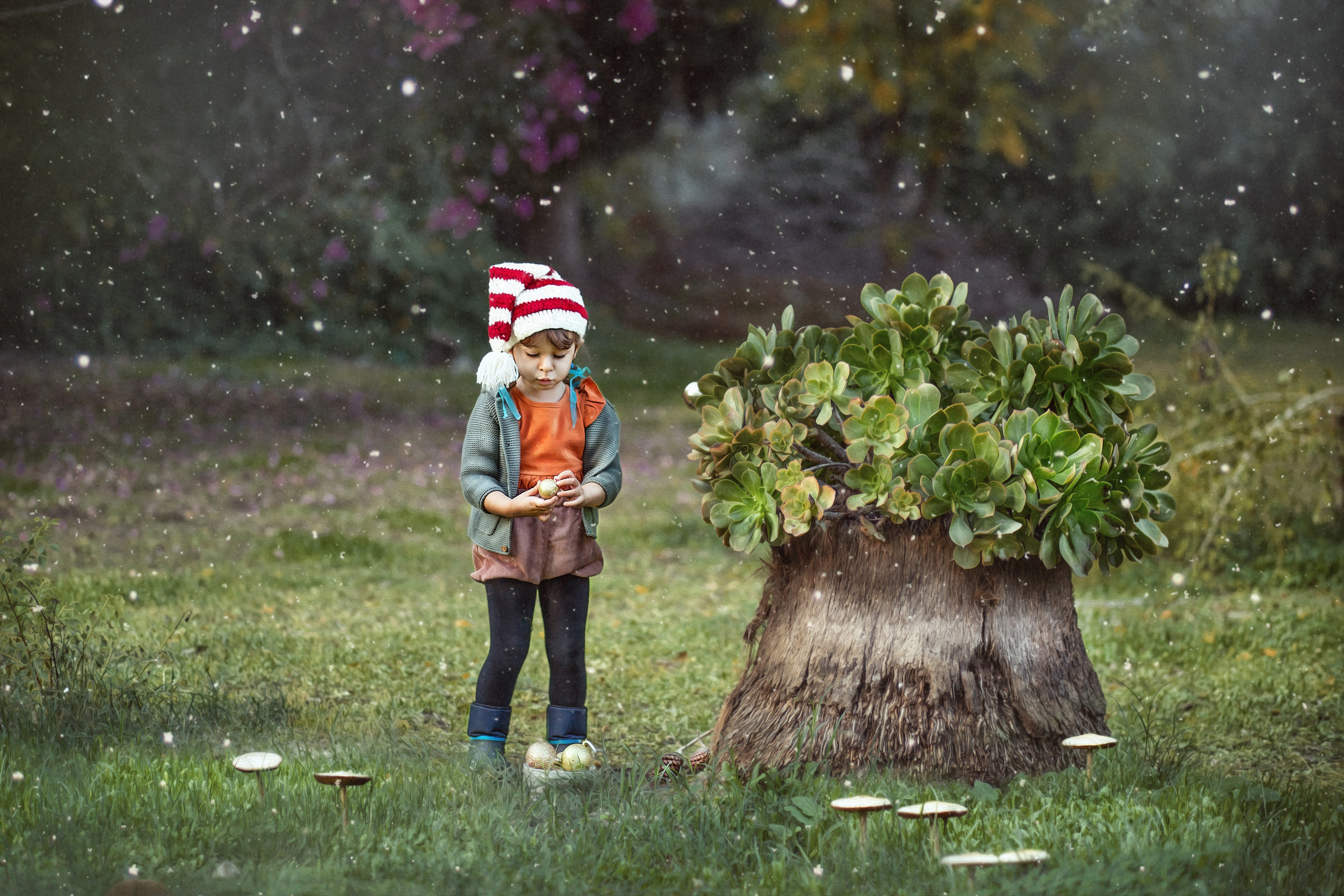 צילומי ילדים. צלמת ילדים, הריון ומשפחה בישראל