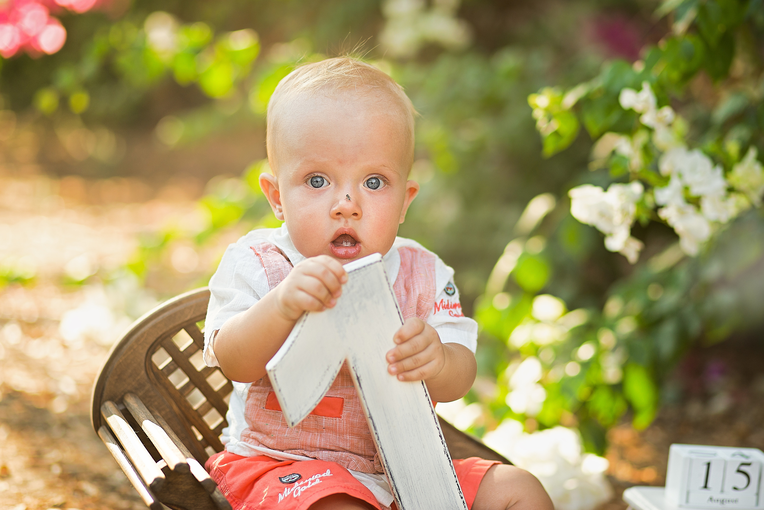 צילומי גיל שנה. צלמת ילדים, הריון ומשפחה בישראל