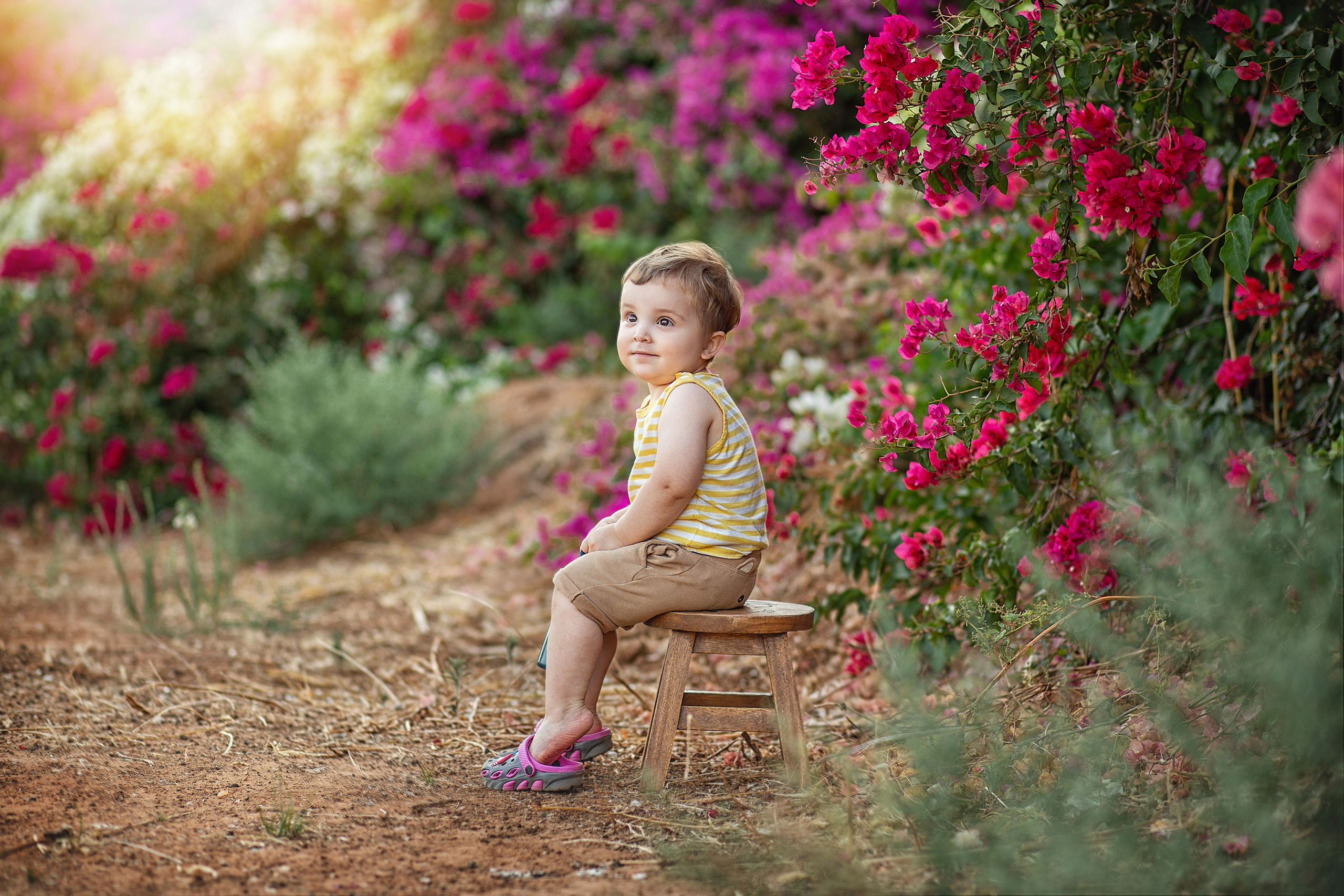 צילומי משפחה. צלמת ילדים, הריון ומשפחה בישראל