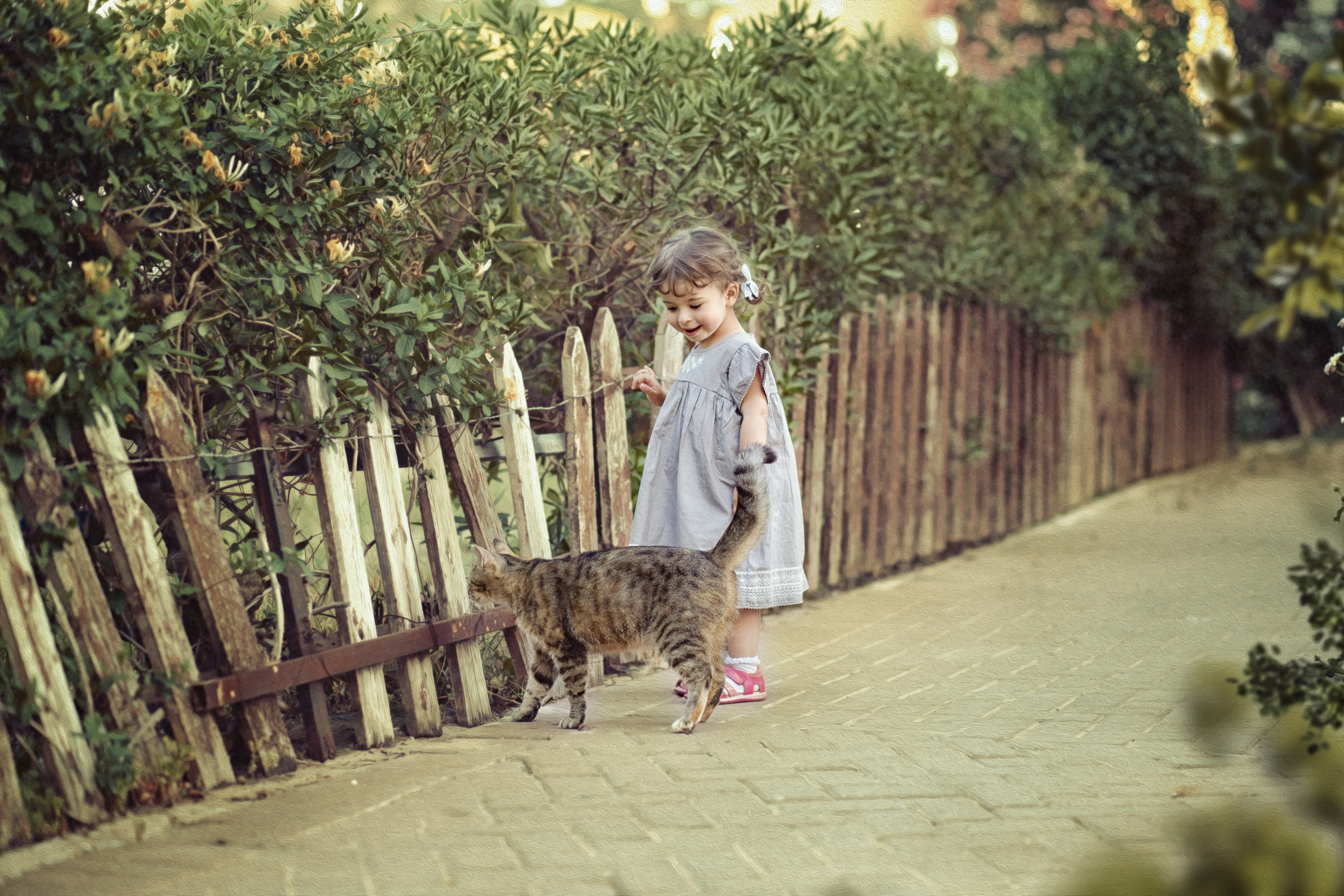 צילומי ילדים. צלמת ילדים, הריון ומשפחה בישראל