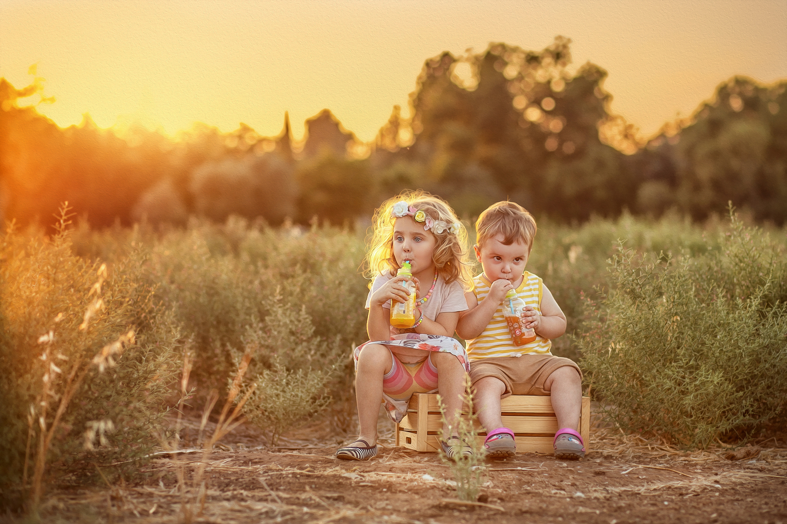 צילומי משפחה. צלמת ילדים, הריון ומשפחה בישראל