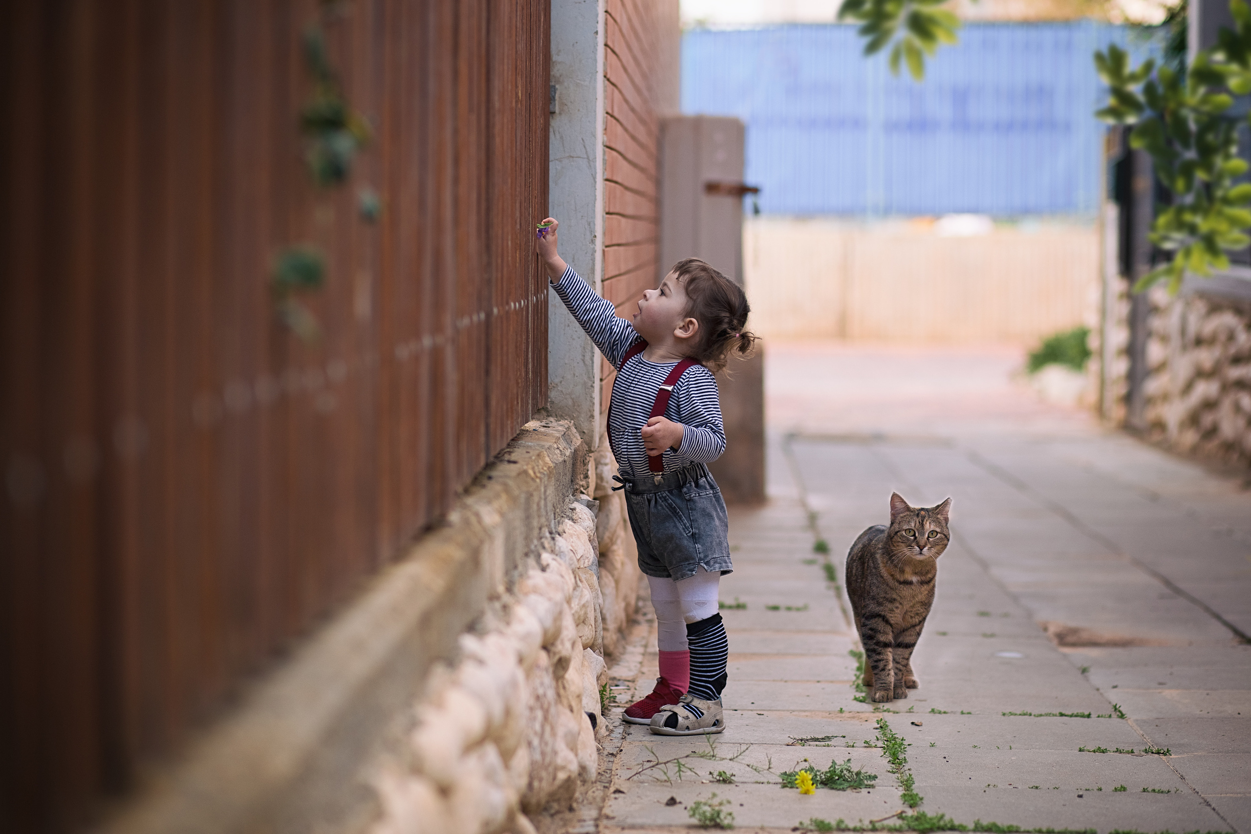 צילומי ילדים. צלמת ילדים, הריון ומשפחה בישראל