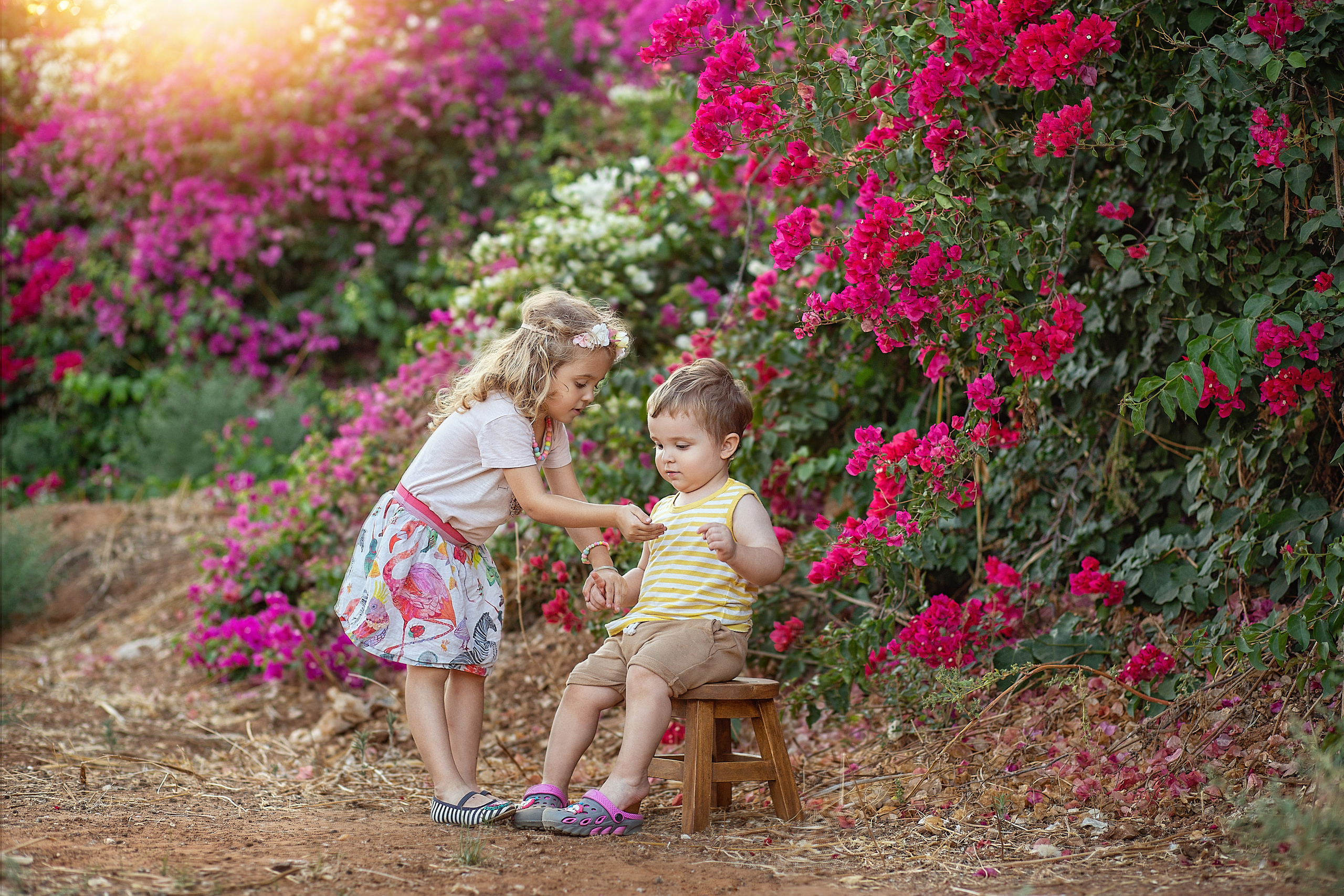 צילומי משפחה. צלמת ילדים, הריון ומשפחה בישראל