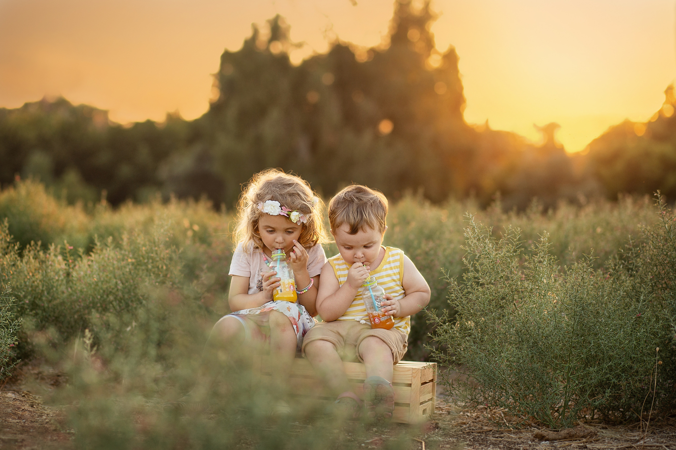 צילומי משפחה. צלמת ילדים, הריון ומשפחה בישראל