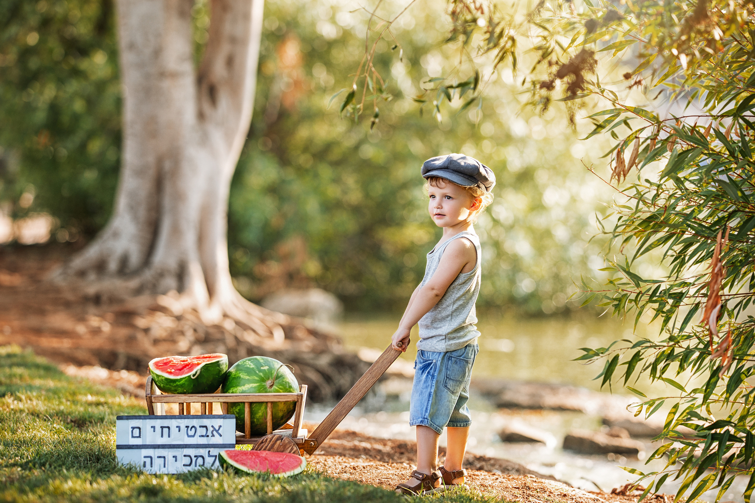 צילומי ילדים. צלמת ילדים, הריון ומשפחה בישראל