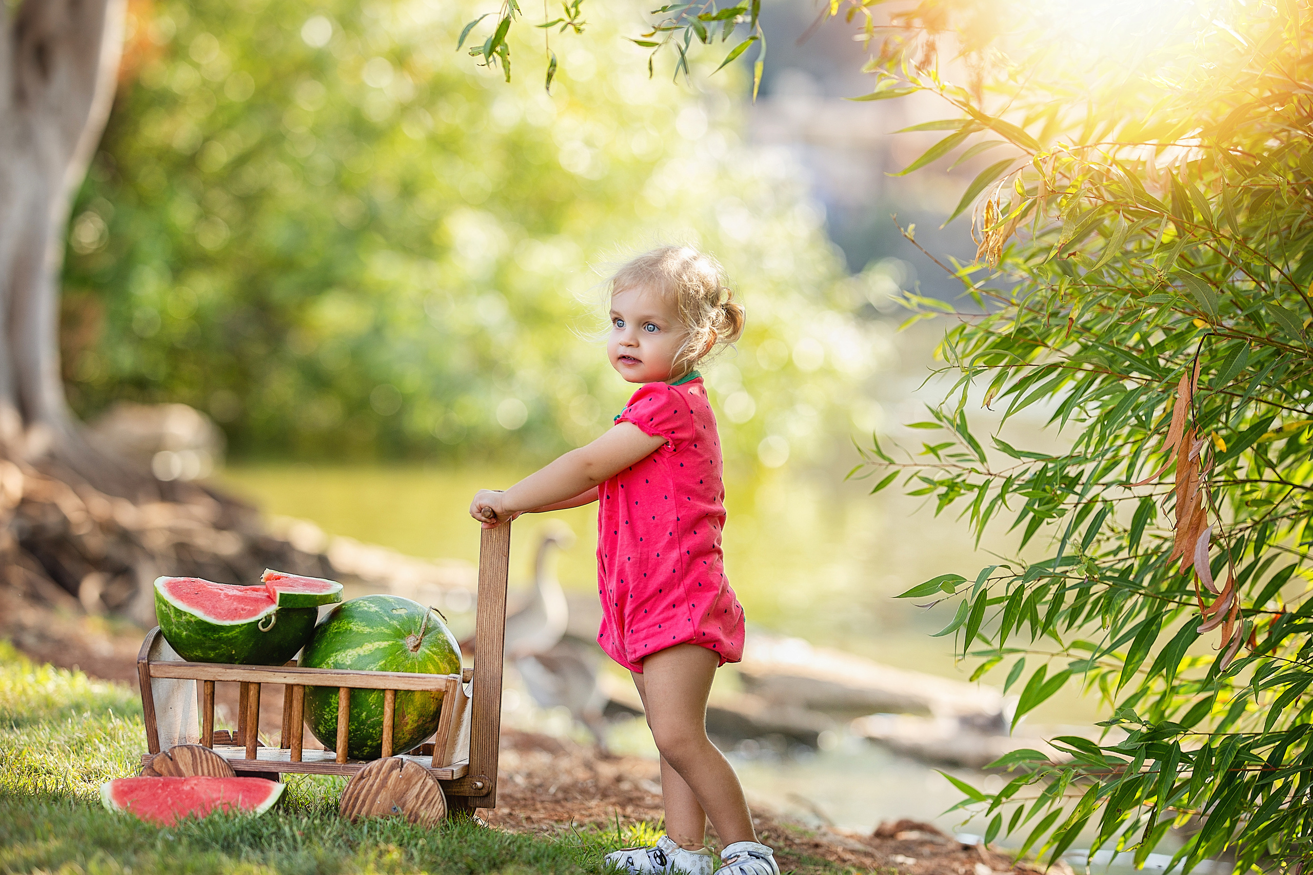 צילומי ילדים. צלמת ילדים, הריון ומשפחה בישראל