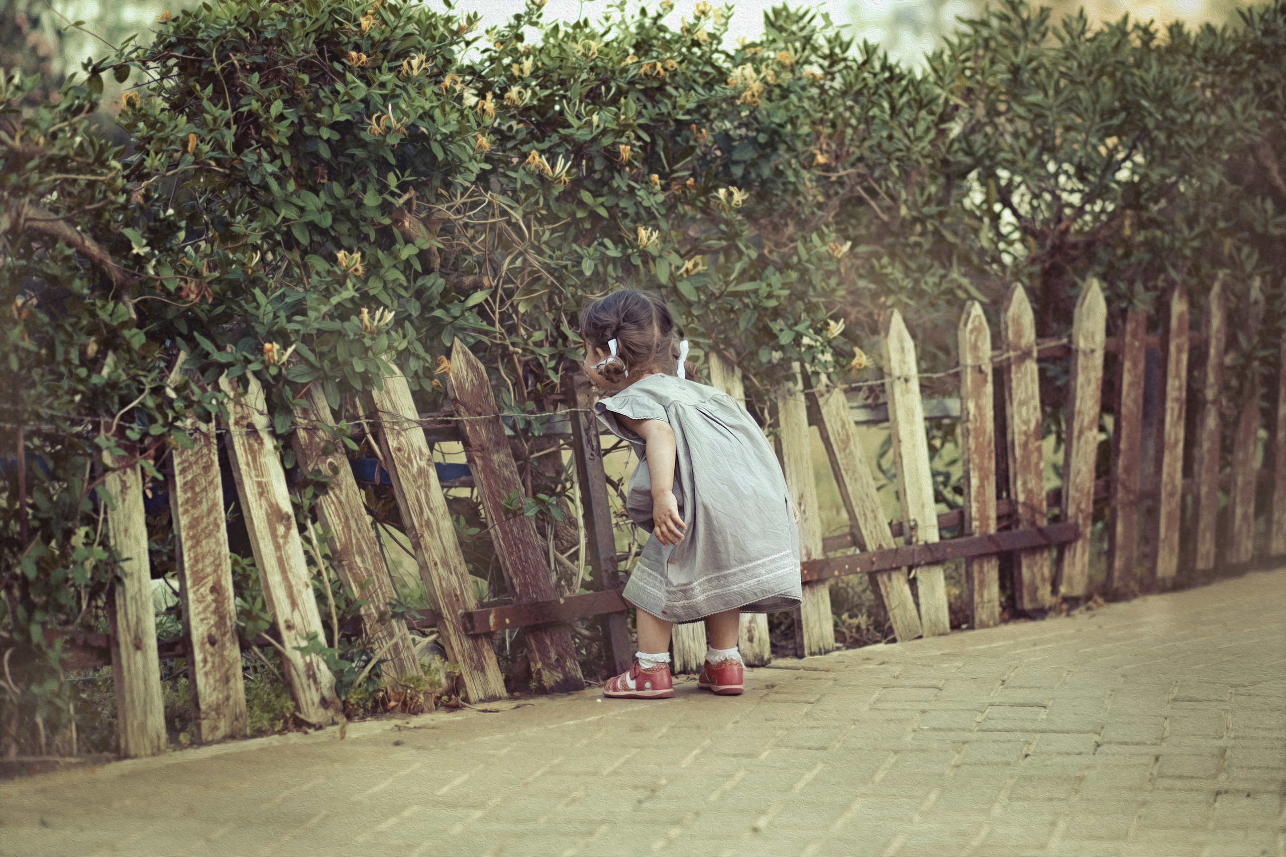 צילומי ילדים. צלמת ילדים, הריון ומשפחה בישראל