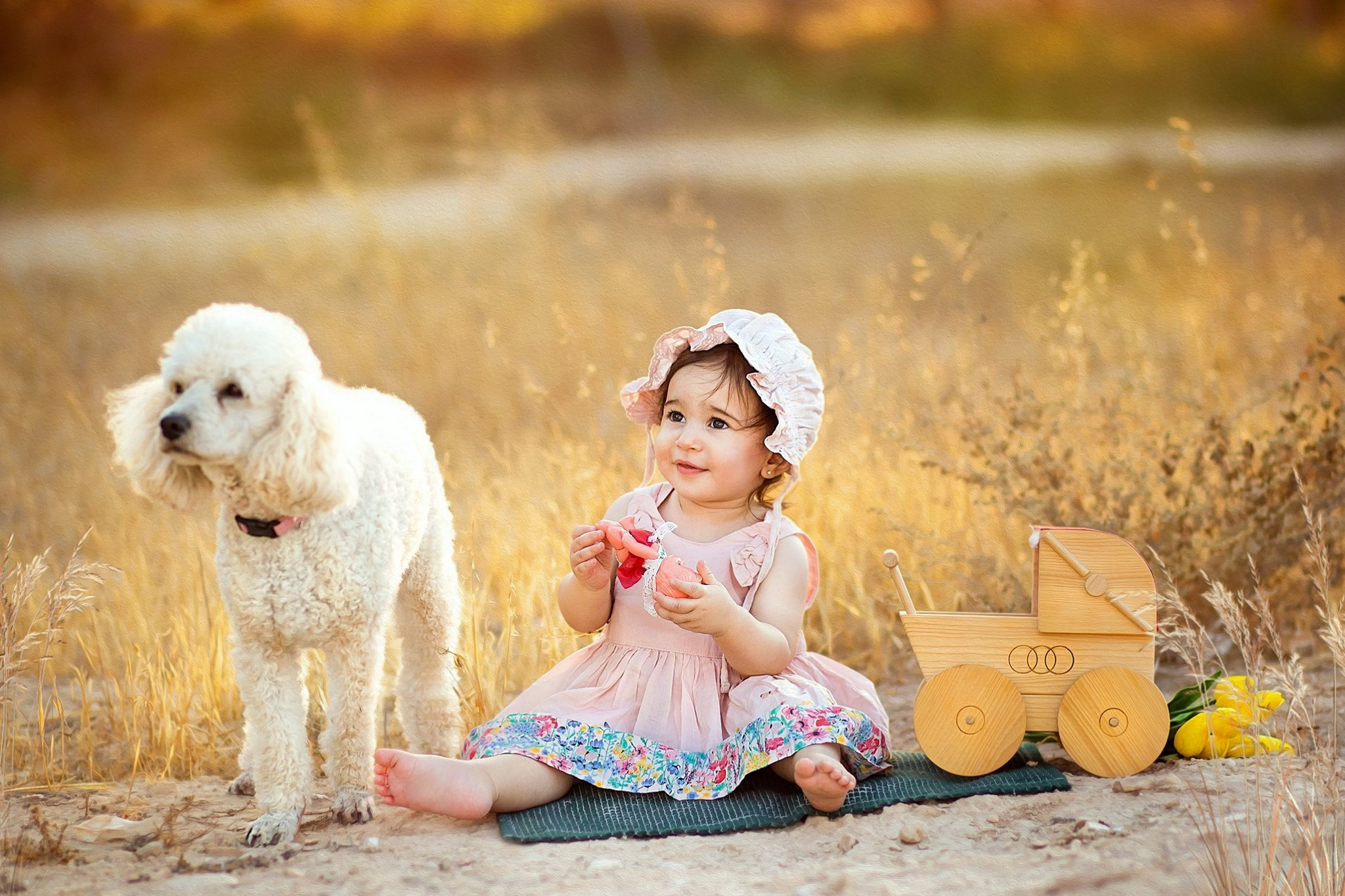 צילומי גיל שנה. צלמת ילדים, הריון ומשפחה בישראל