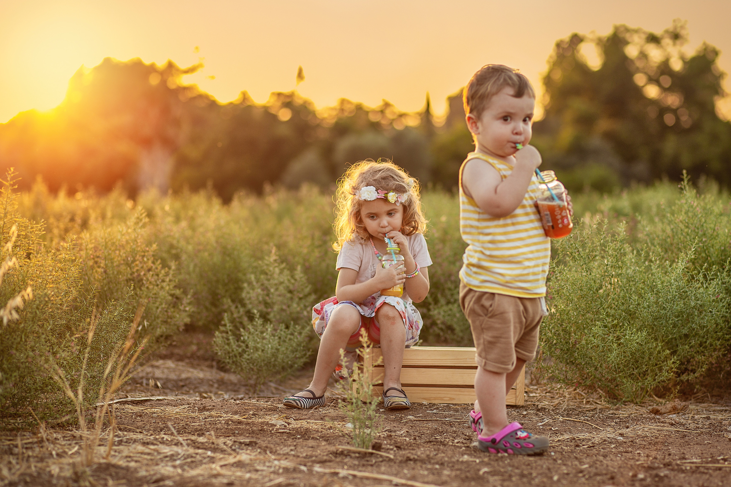 צילומי משפחה. צלמת ילדים, הריון ומשפחה בישראל