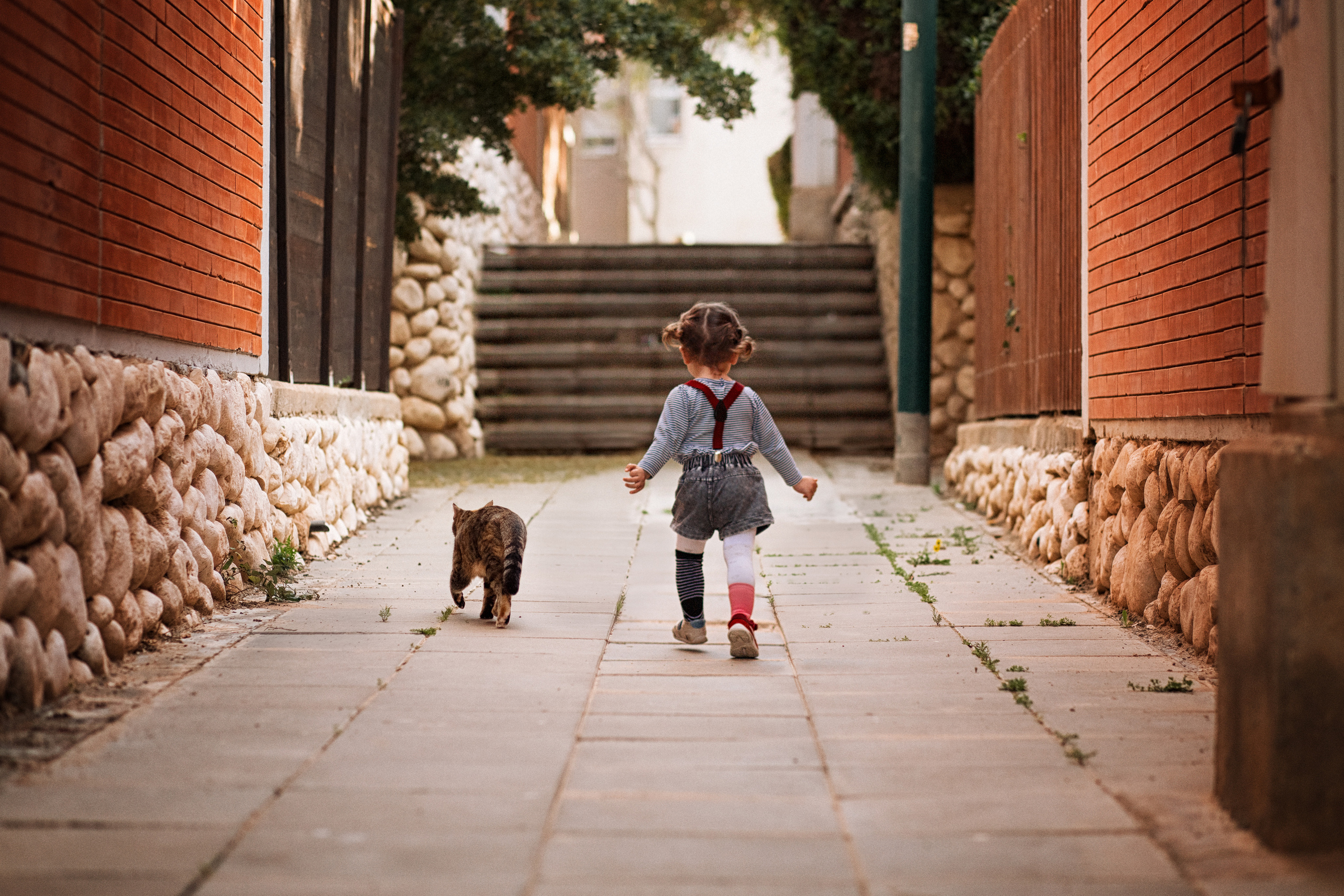 צילומי ילדים. צלמת ילדים, הריון ומשפחה בישראל