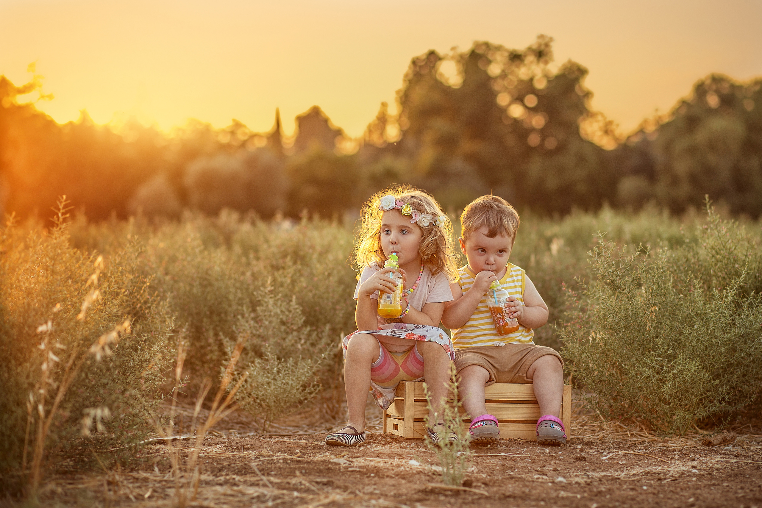 צילומי משפחה. צלמת ילדים, הריון ומשפחה בישראל