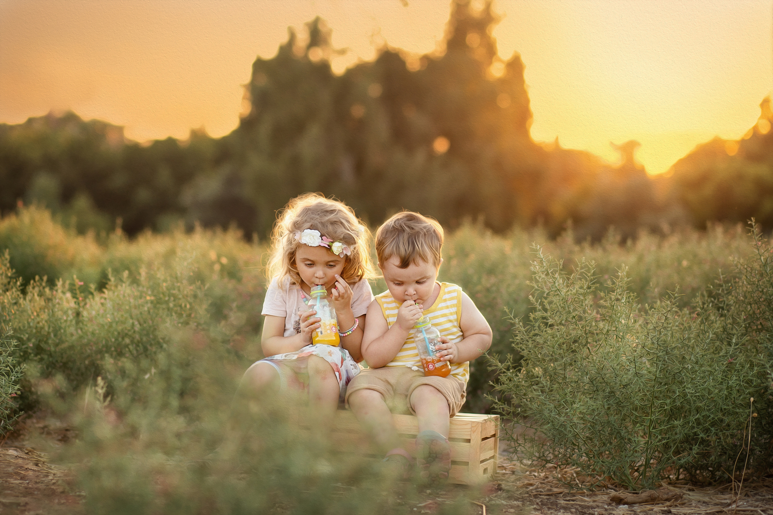 צילומי משפחה. צלמת ילדים, הריון ומשפחה בישראל