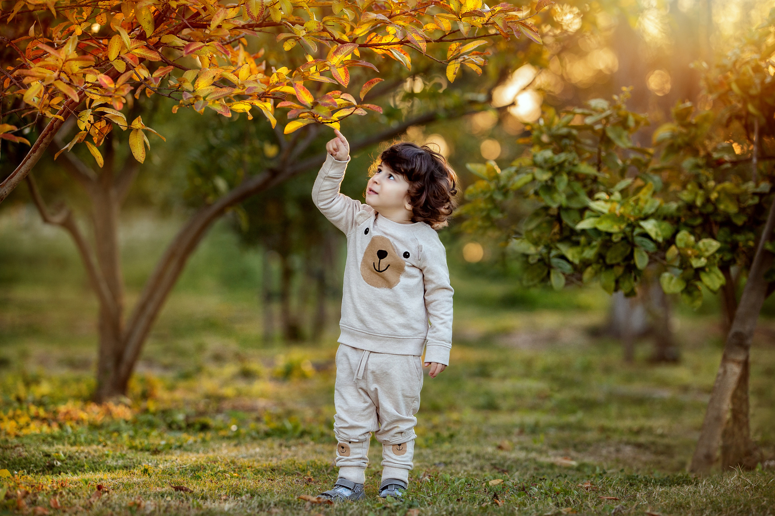 צילומי ילדים. צלמת ילדים, הריון ומשפחה בישראל