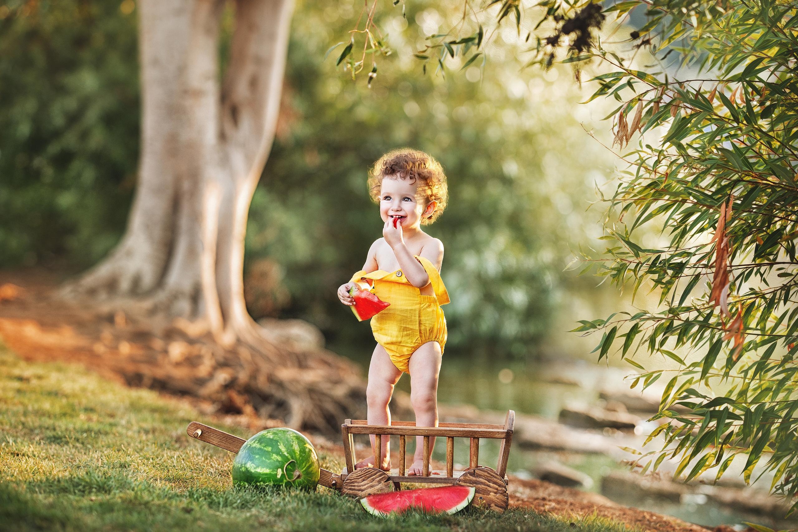 צלמת ילדים, הריון ומשפחה בישראל