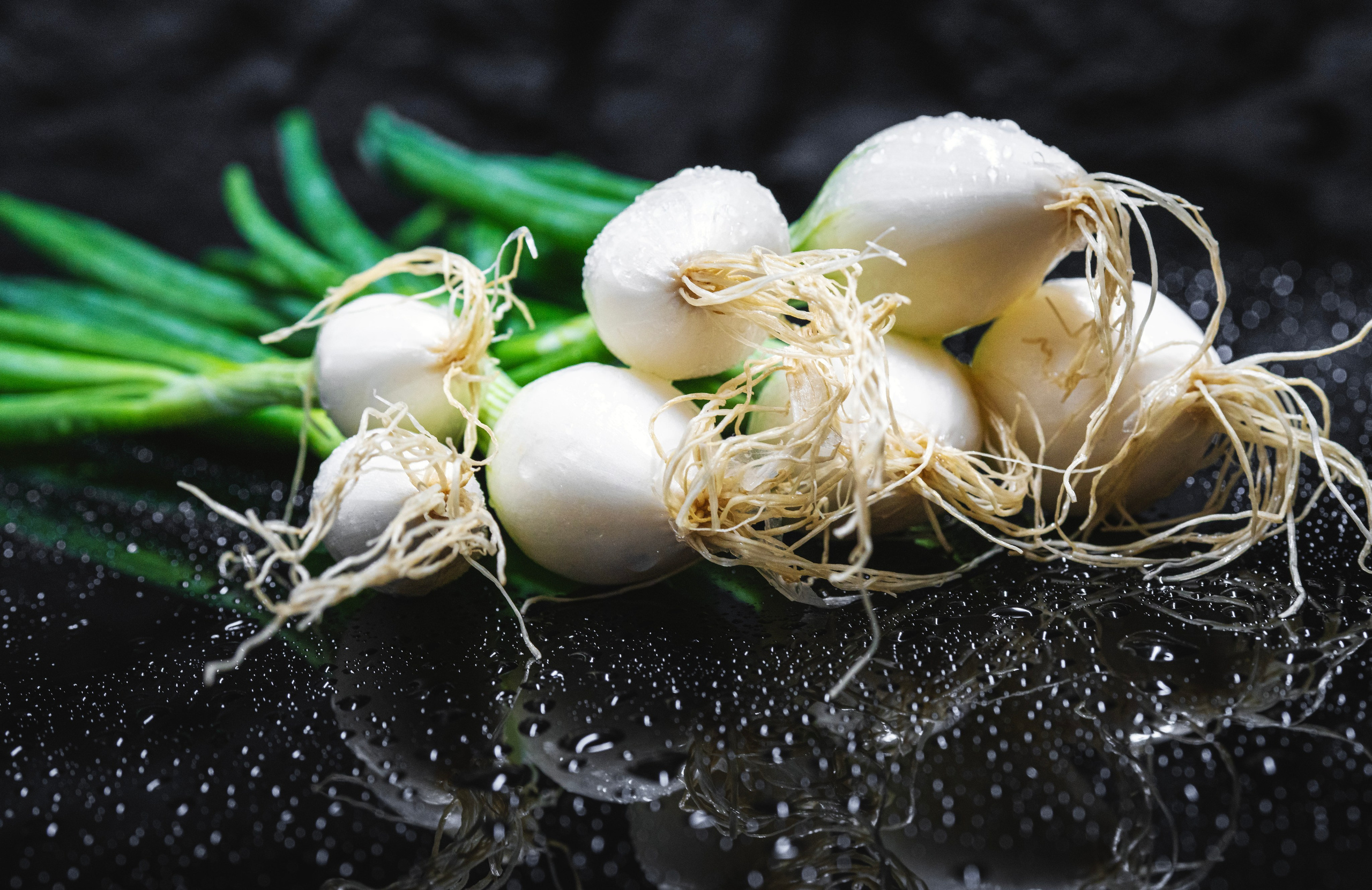 Food Fotografie. LUKIN IGOR Photography