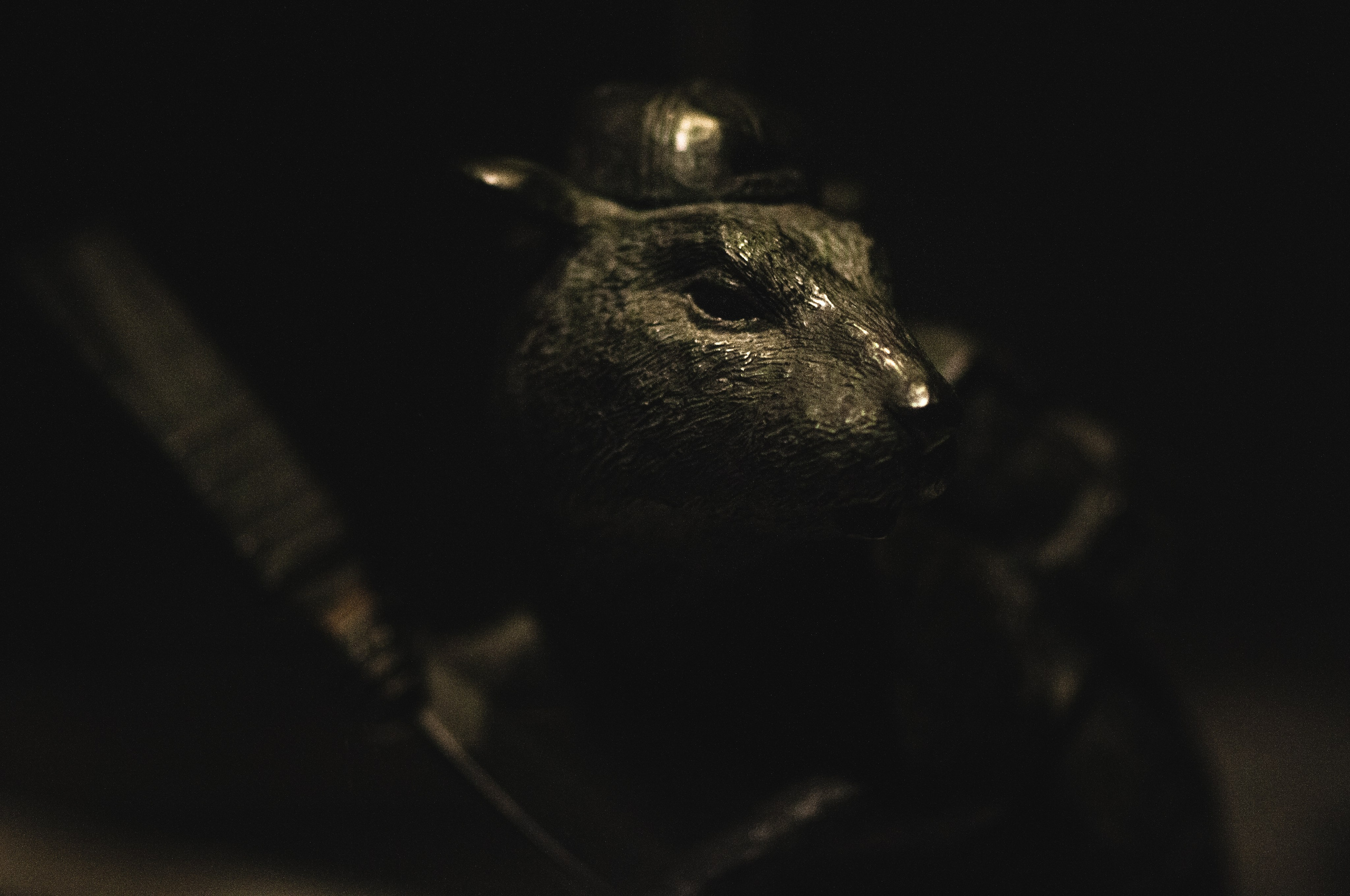 Banksy: Birth of an Icon // Tbilisi