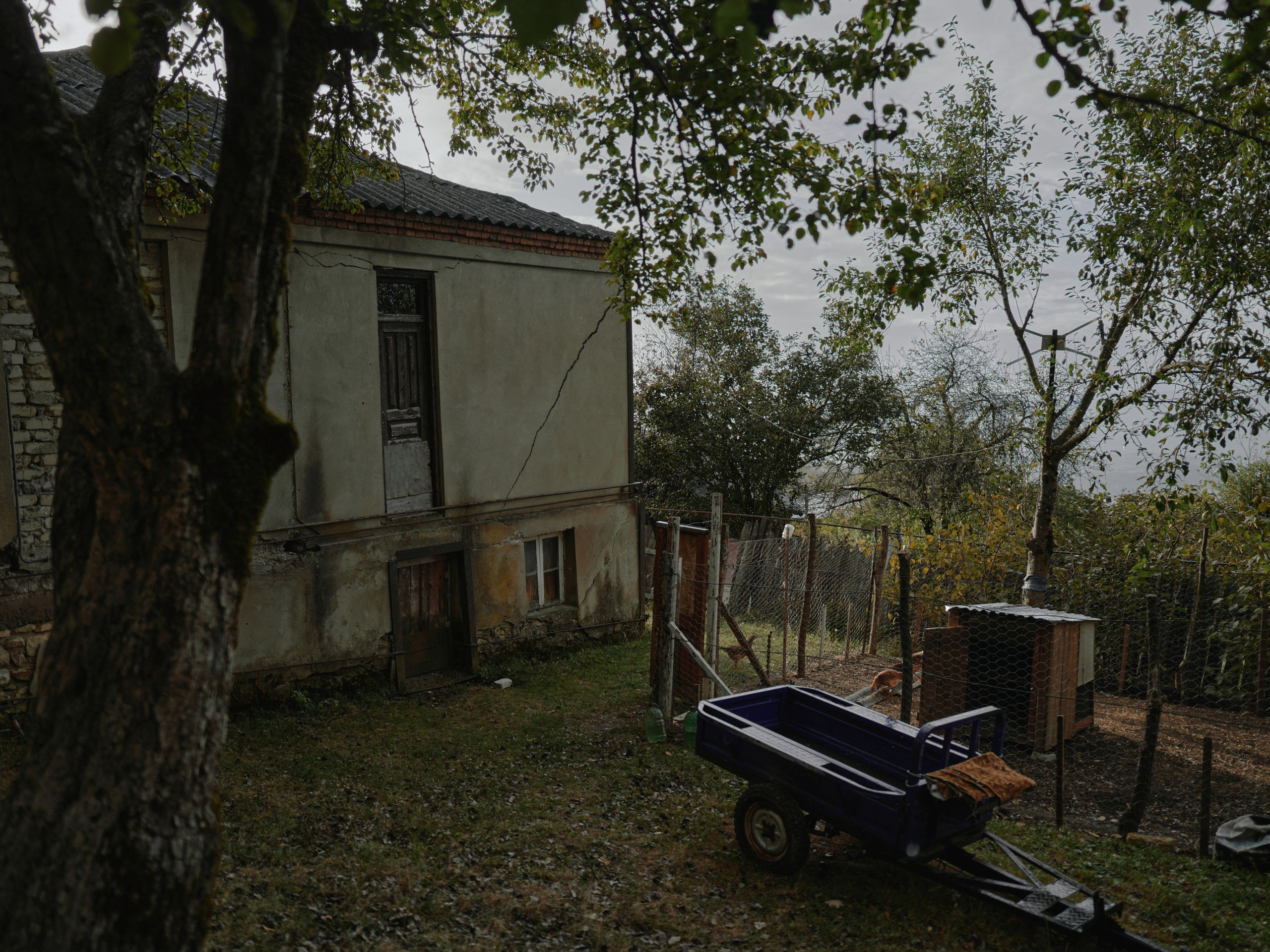 Scars of Shukruti. Egor Borie